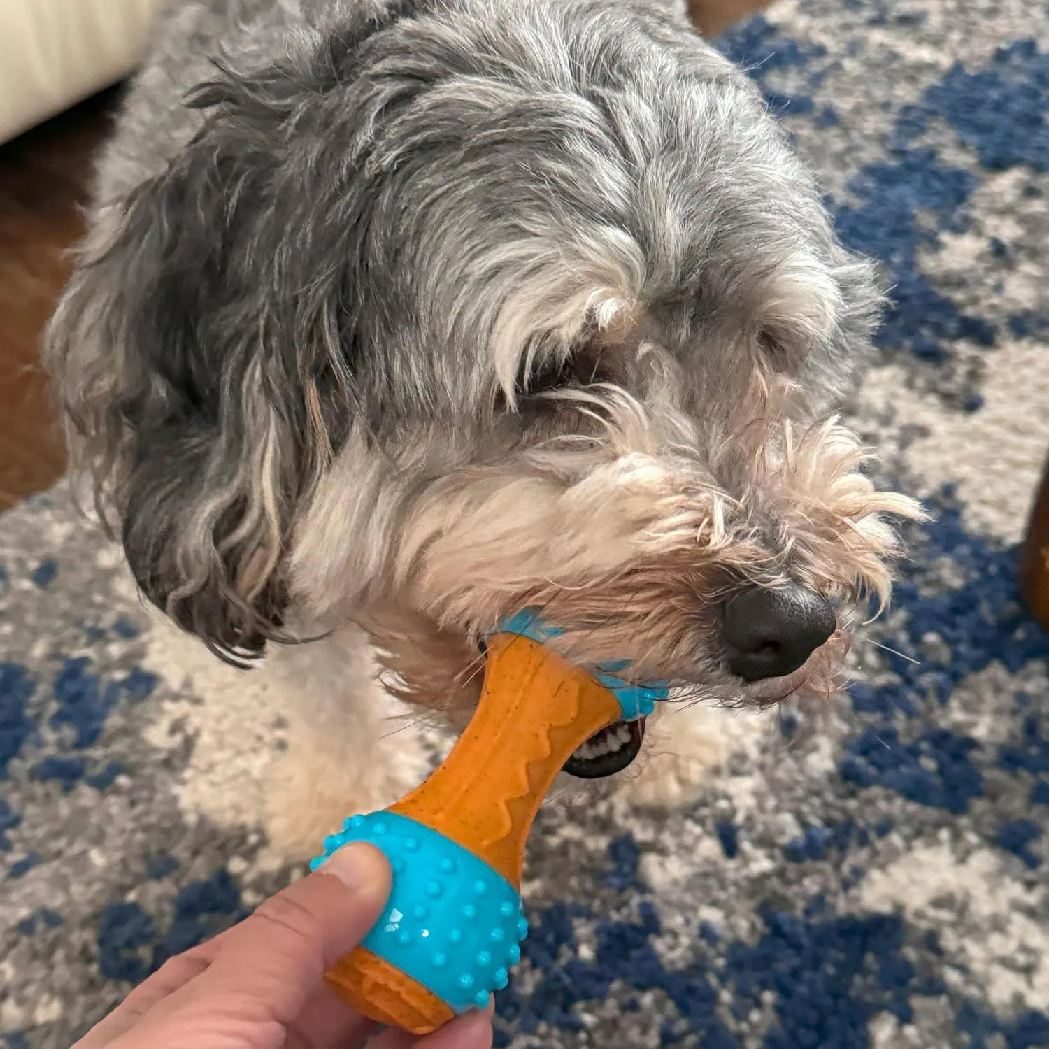 Juguete Masticable De Bambú Y Nailon Para Perros Con Sabor A Mantequilla 6