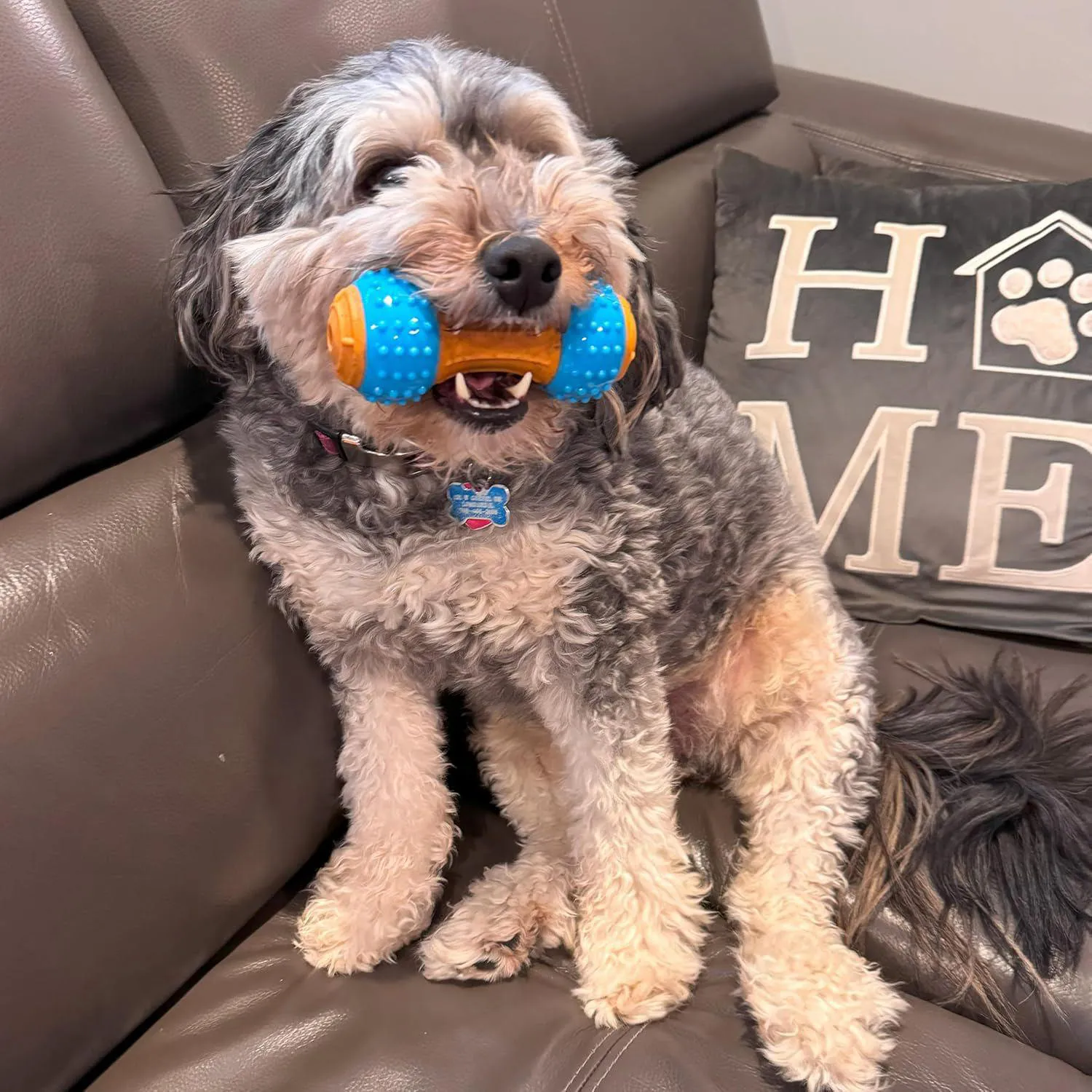 Juguete Masticable De Bambú Y Nailon Para Perros Con Sabor A Mantequilla 7