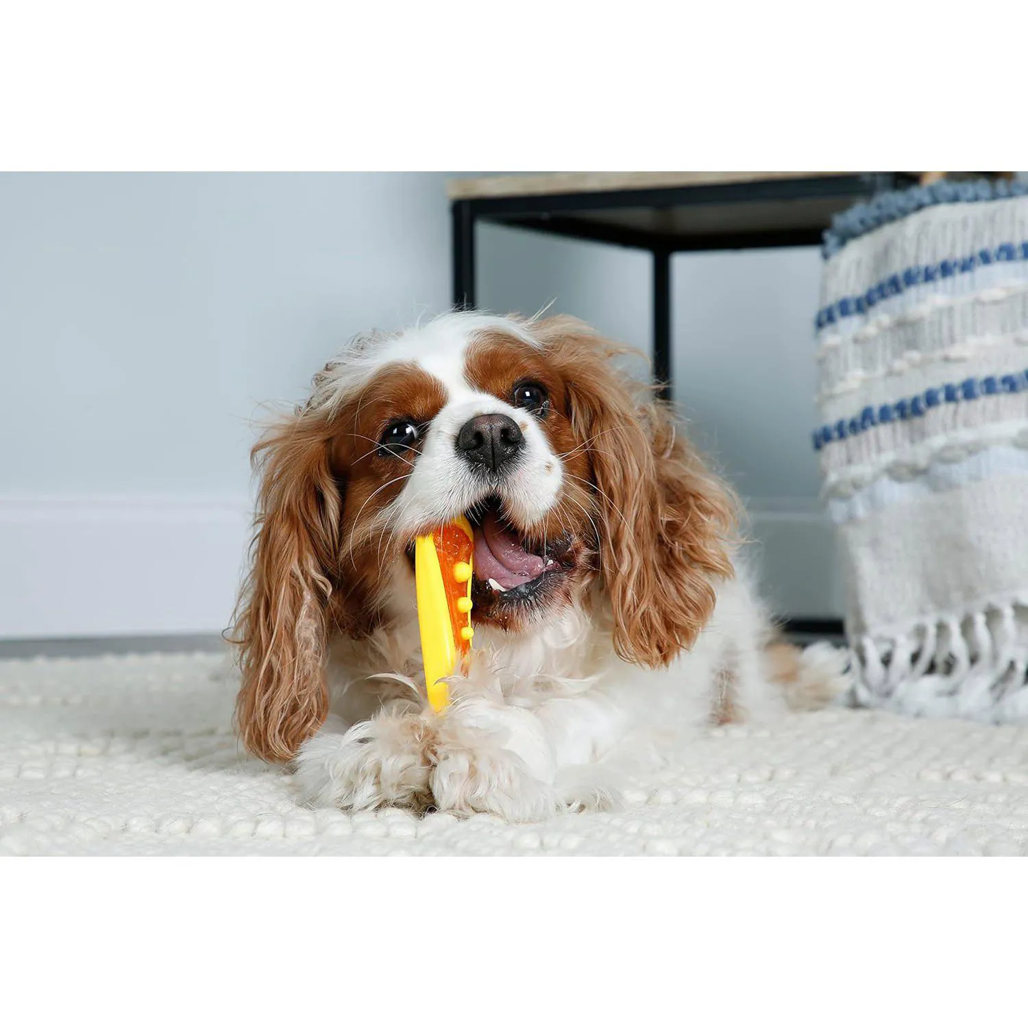 Juguete Dental Con Sabor A Tocino Para Perros Hartz Paquete De Tres 3