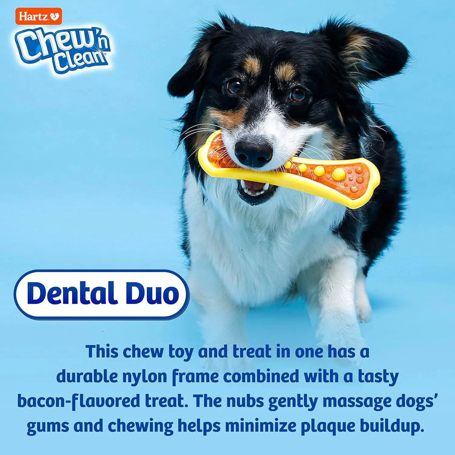 Juguete Dental Con Sabor A Tocino Para Perros Hartz Paquete De Tres 4