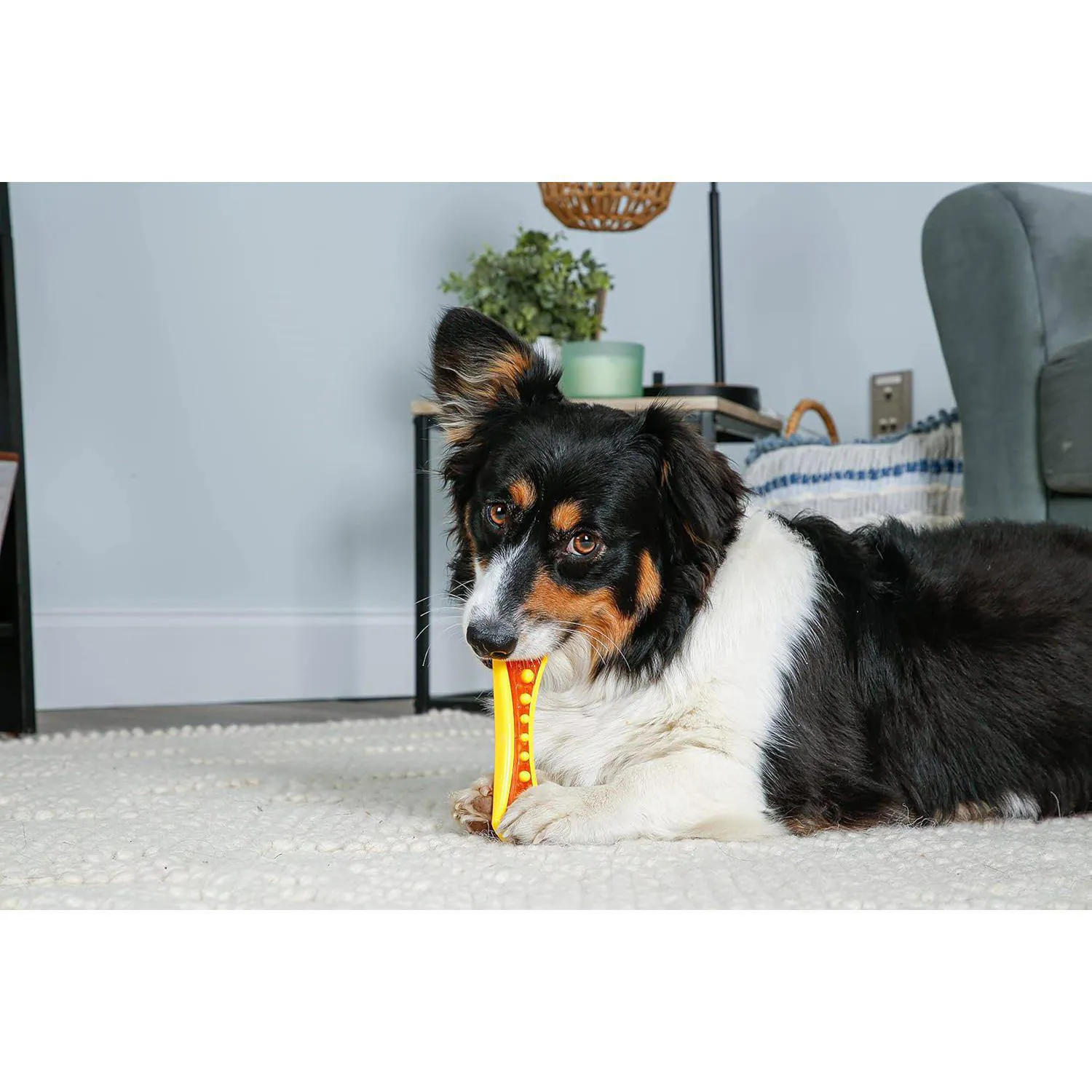 Juguete Dental Con Sabor A Tocino Para Perros Hartz Paquete De Tres 5