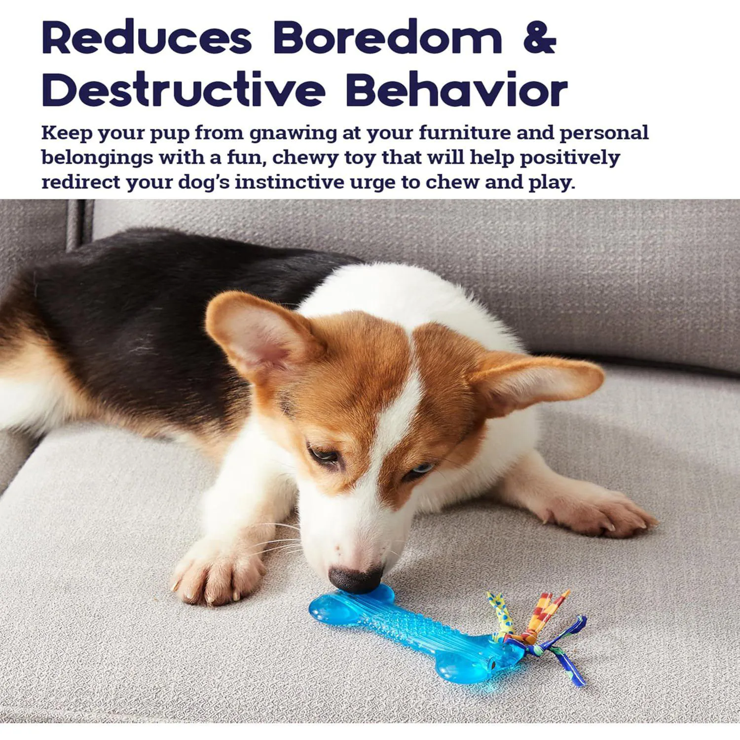 Hueso Petstages Para Cachorros Con Textura Dental Y Juego Seguro 3