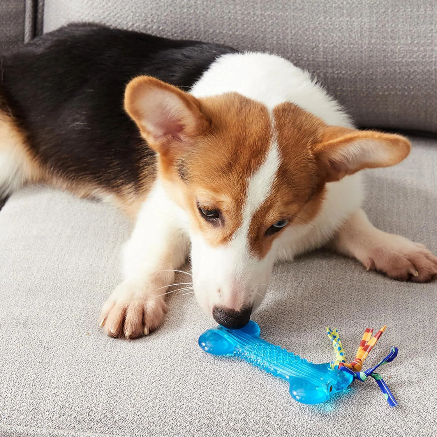Hueso Petstages Para Cachorros Con Textura Dental Y Juego Seguro 7