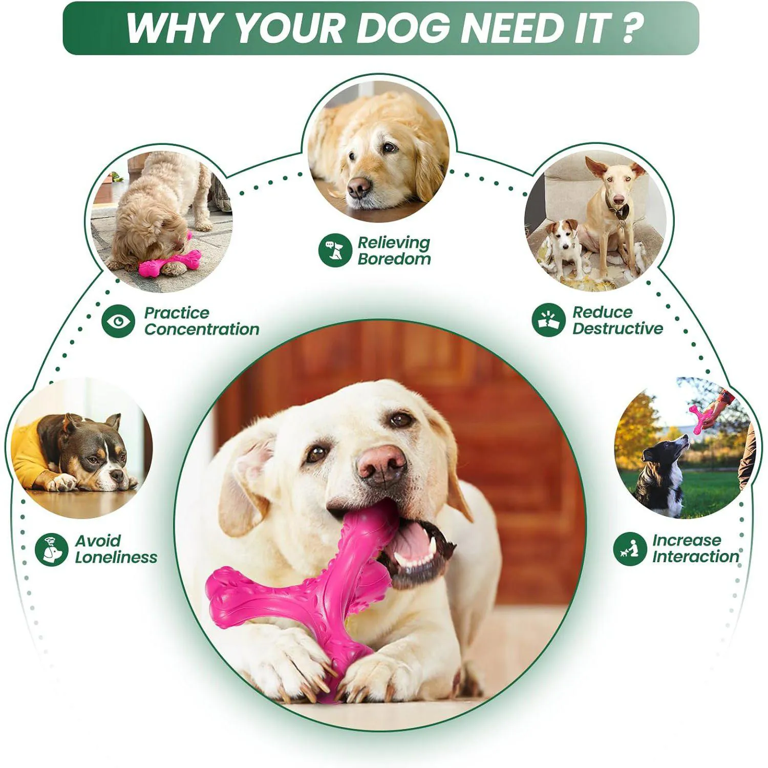 Juguete Masticable Para Perros Grandes Con Hueso Indestructible Y Limpieza Dental 4