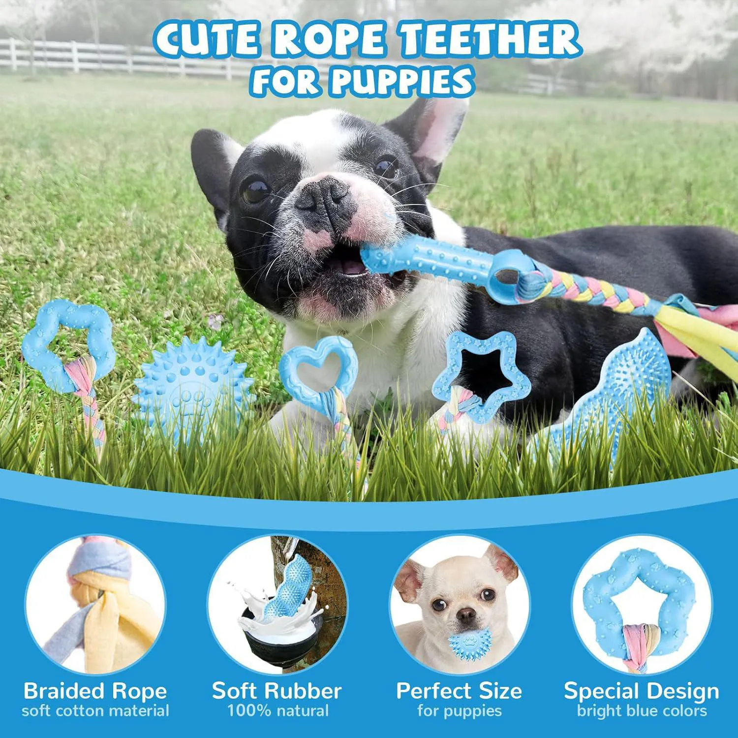 Juguetes Para Cachorros Paquete De Seis Con Diseño Seguro Para Dentición