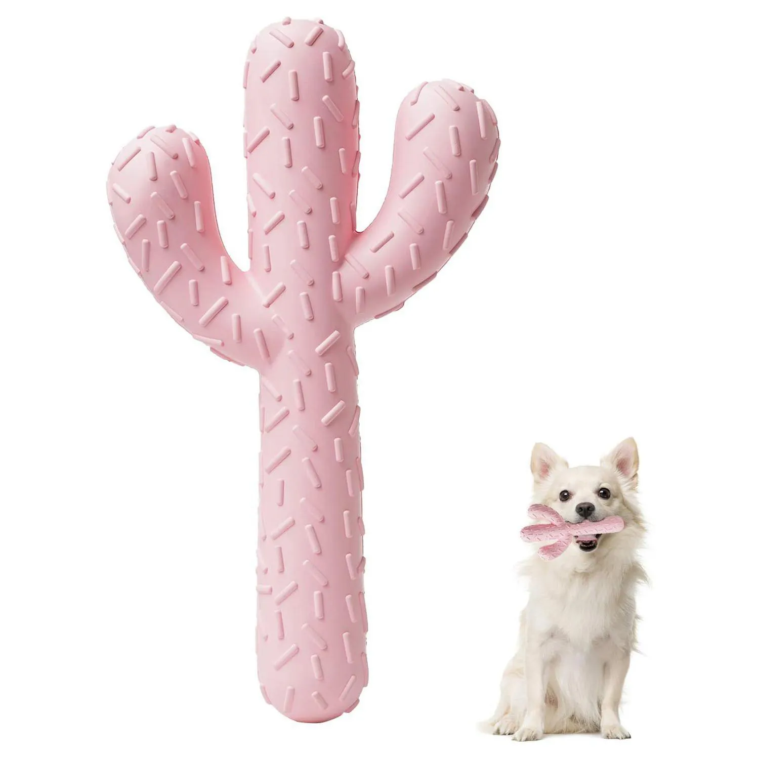 Juguete MewaJump Para Perros Con Forma De Cactus Y Aroma A Coco
