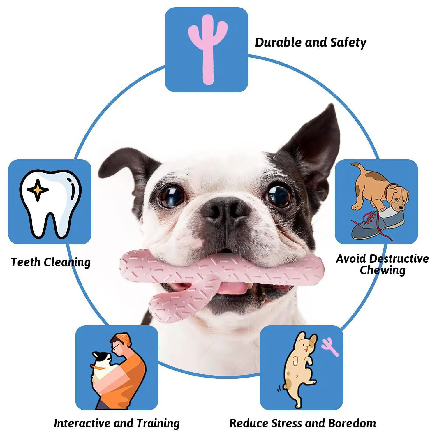 Juguete MewaJump Para Perros Con Forma De Cactus Y Aroma A Coco