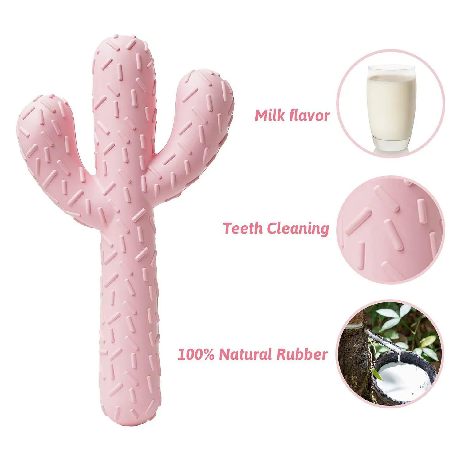 Juguete MewaJump Para Perros Con Forma De Cactus Y Aroma A Coco 3