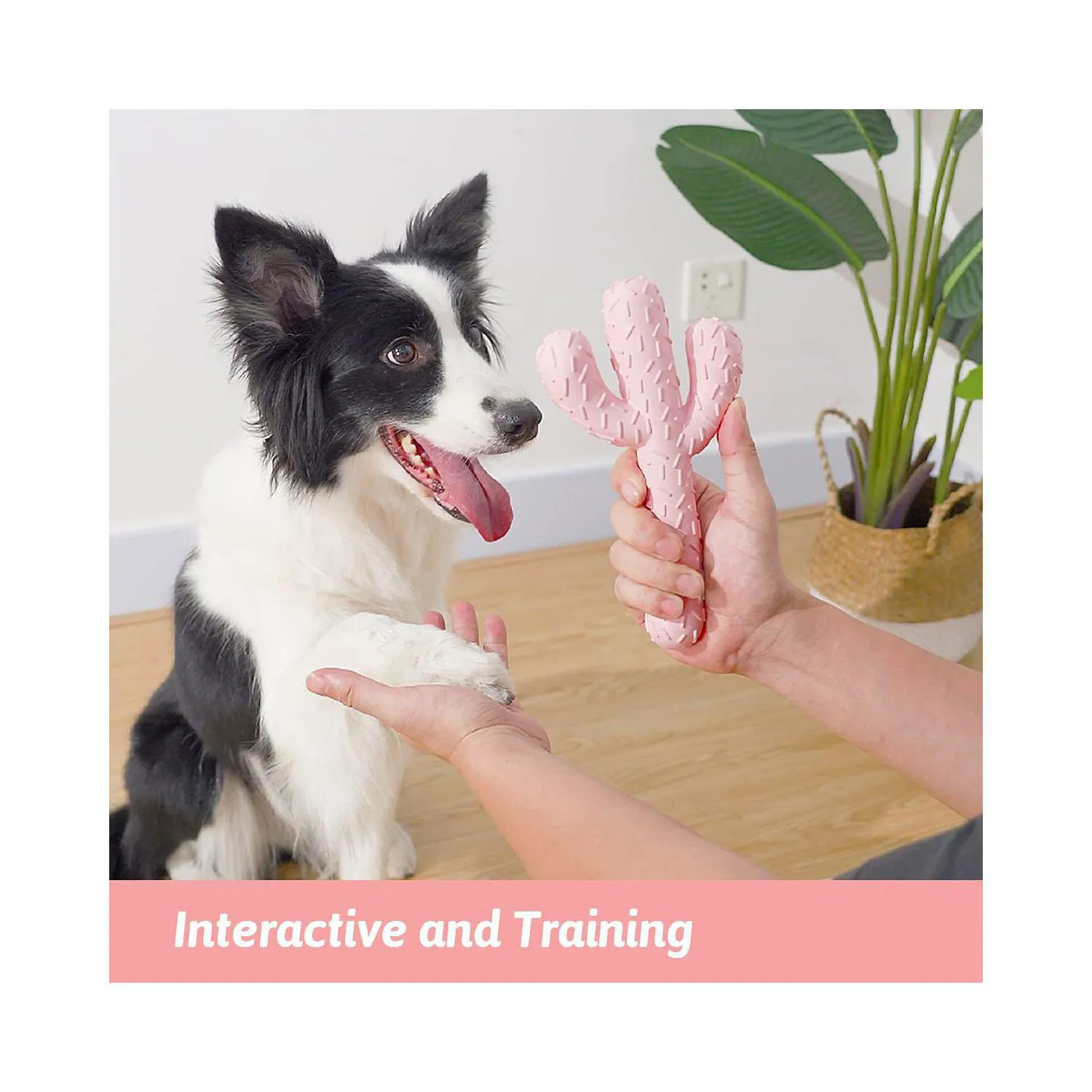 Juguete MewaJump Para Perros Con Forma De Cactus Y Aroma A Coco 4