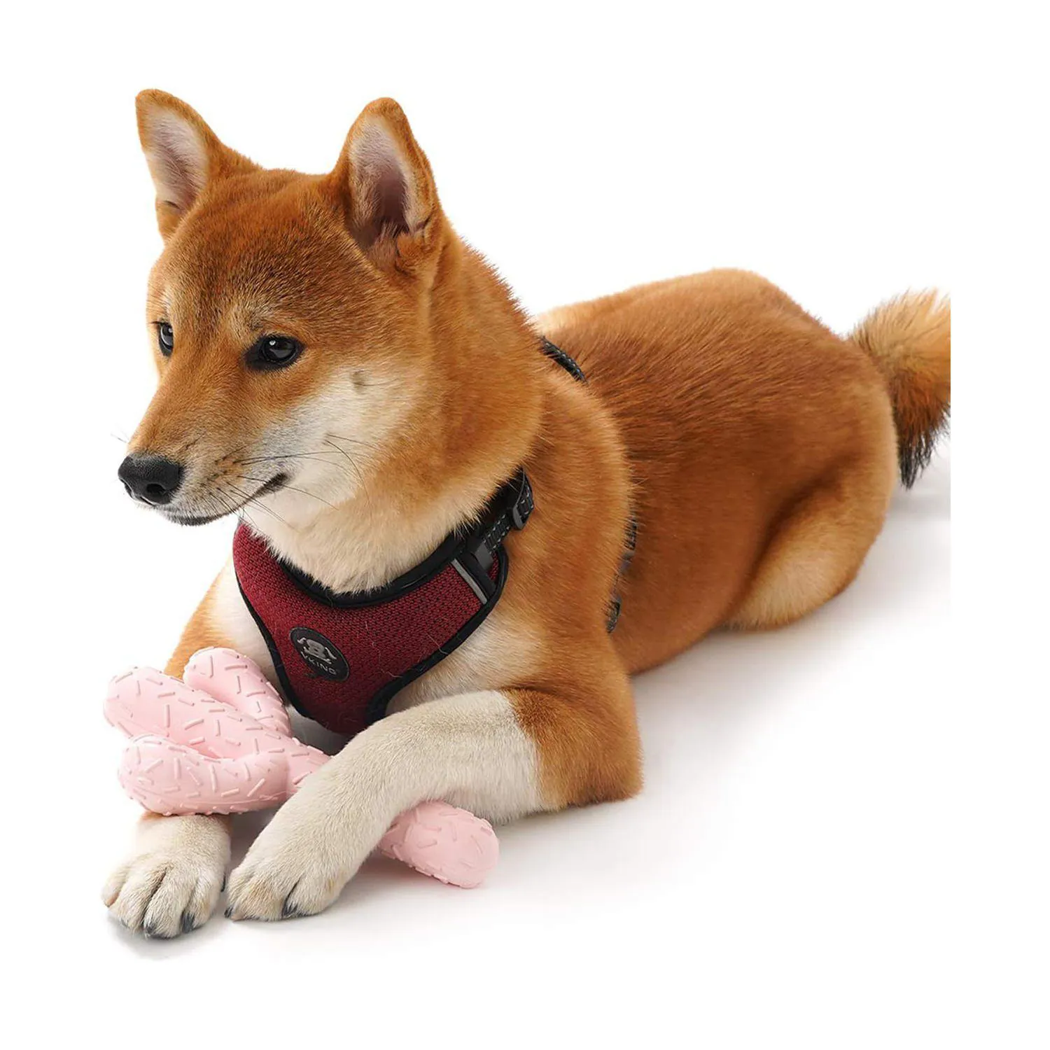 Juguete MewaJump Para Perros Con Forma De Cactus Y Aroma A Coco 7