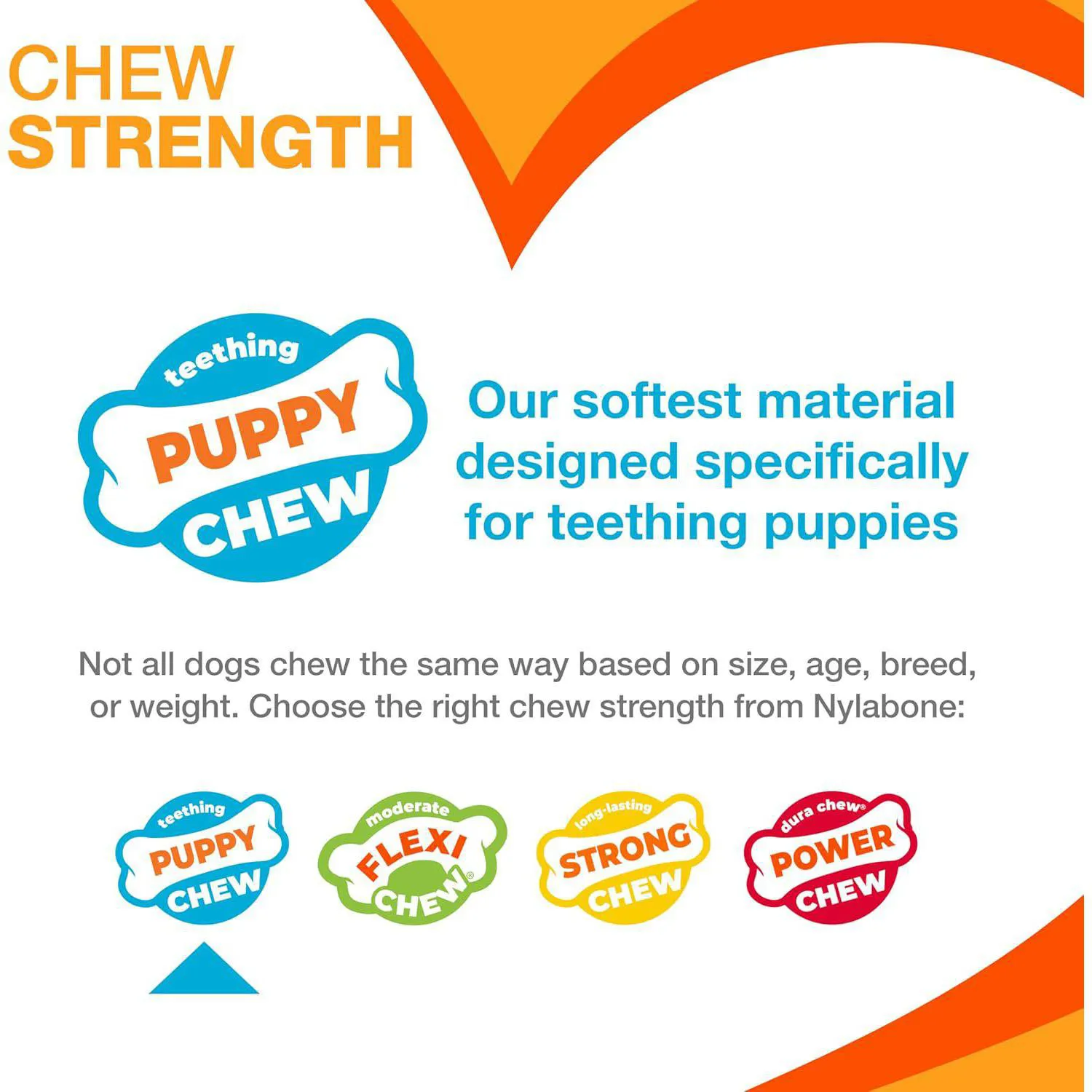 Juguete Masticable Para Cachorros Con Sabor Cordero Y Manzana De Nylabone 3