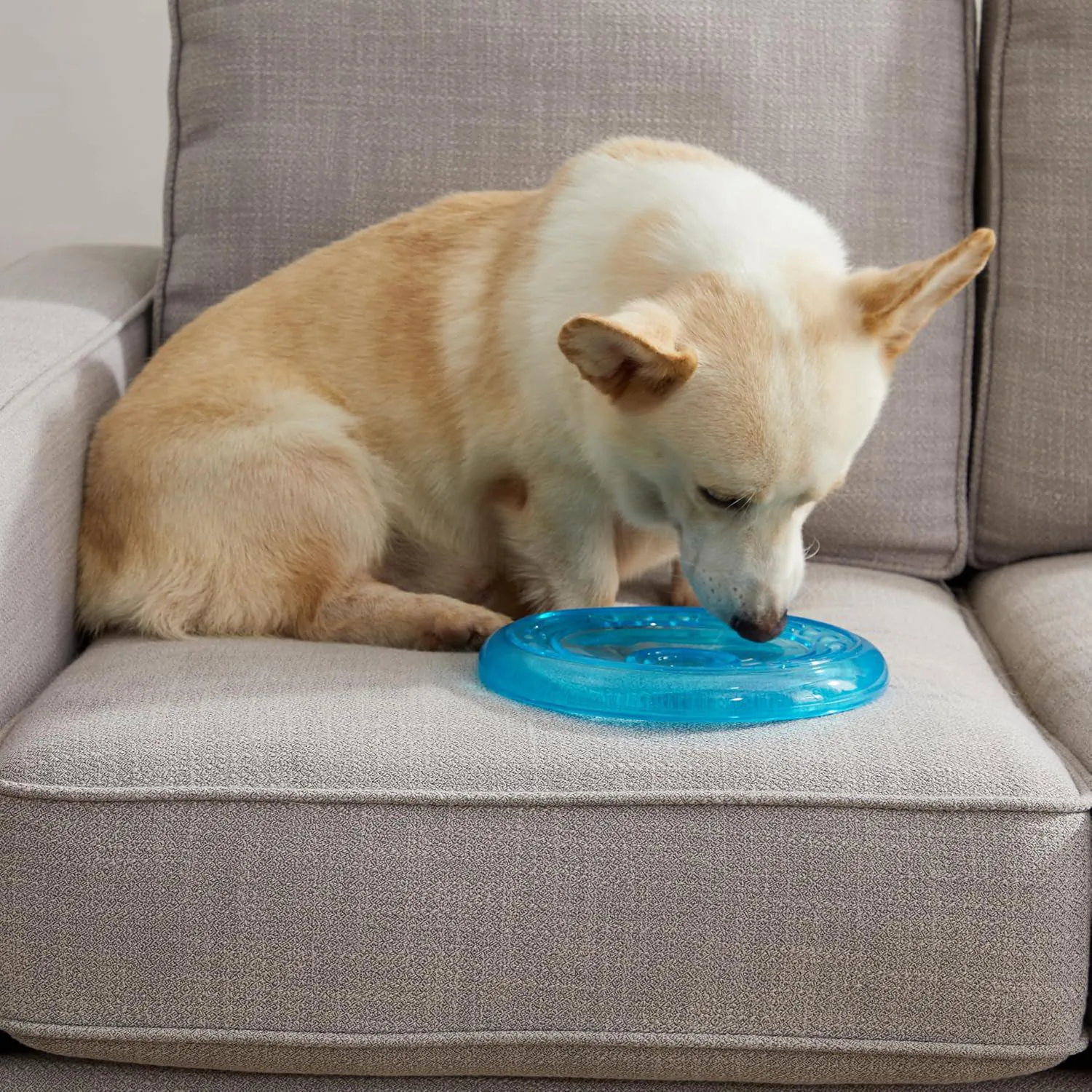 Disco Petstages Para Perros Con Diseño Flotante Y Textura Resistente 7