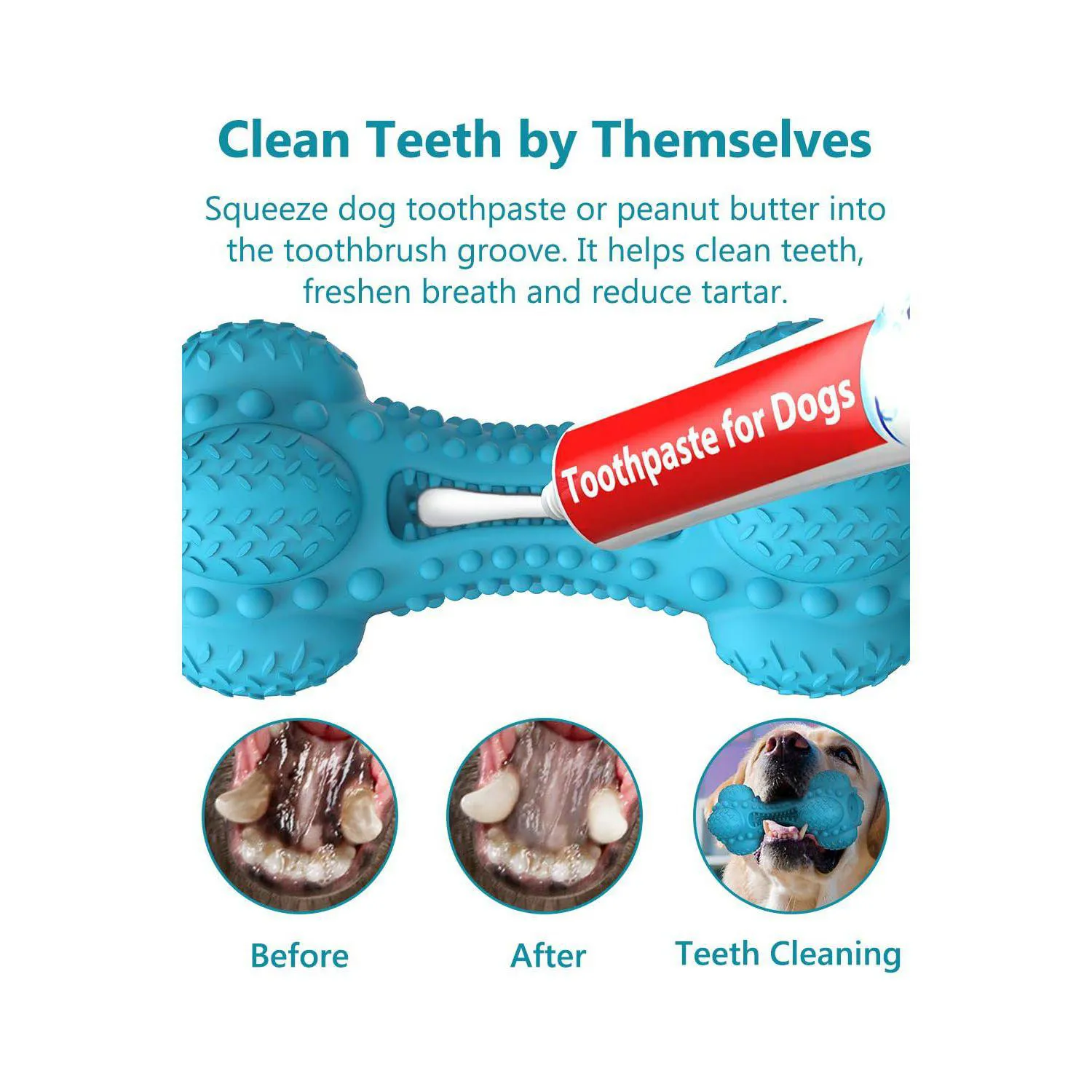 Juguete Chirriante Para Perros Con Hueso De Goma Sabor Tocino Y Limpieza Dental 3