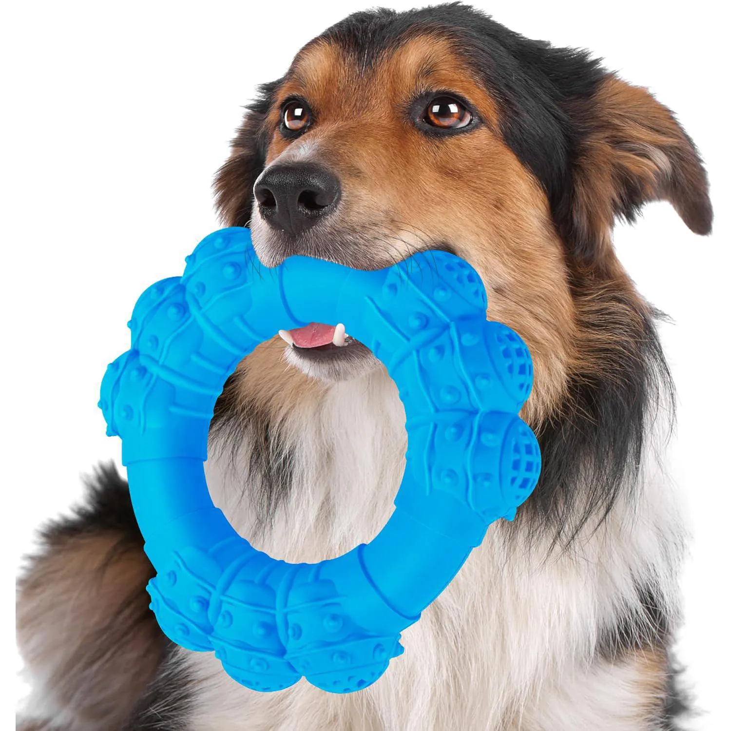 Juguete De Anillo Resistente Para Perros Con Textura Dental Y Sabor A Carne