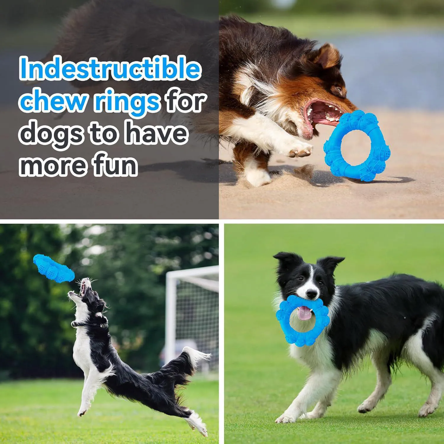 Juguete De Anillo Resistente Para Perros Con Textura Dental Y Sabor A Carne 6