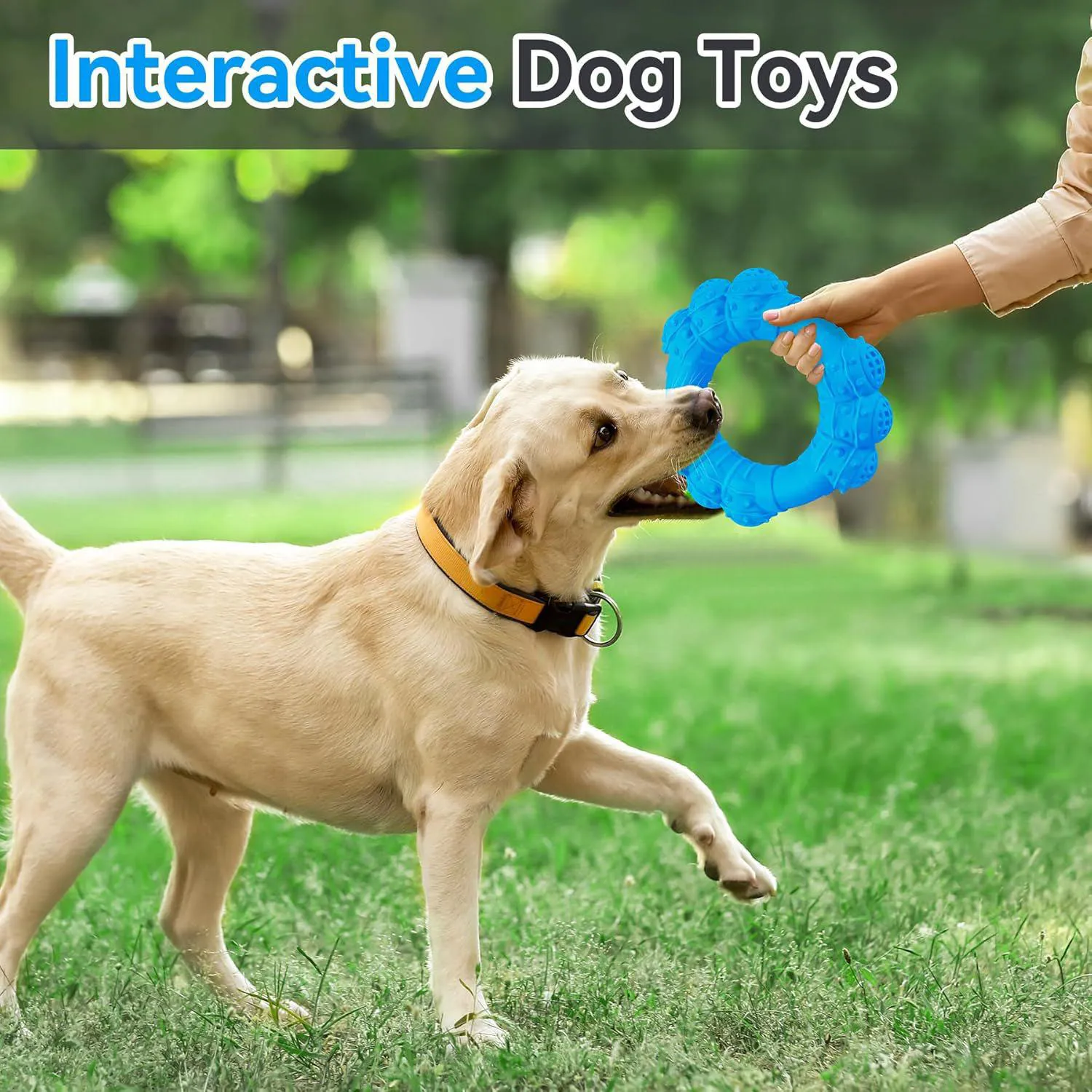 Juguete De Anillo Resistente Para Perros Con Textura Dental Y Sabor A Carne 7