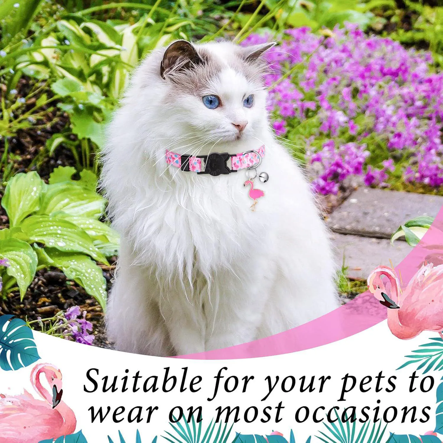 Collar Gato Weewooday Verano con Campana y Colgantes Set de 4 Ajustables 4