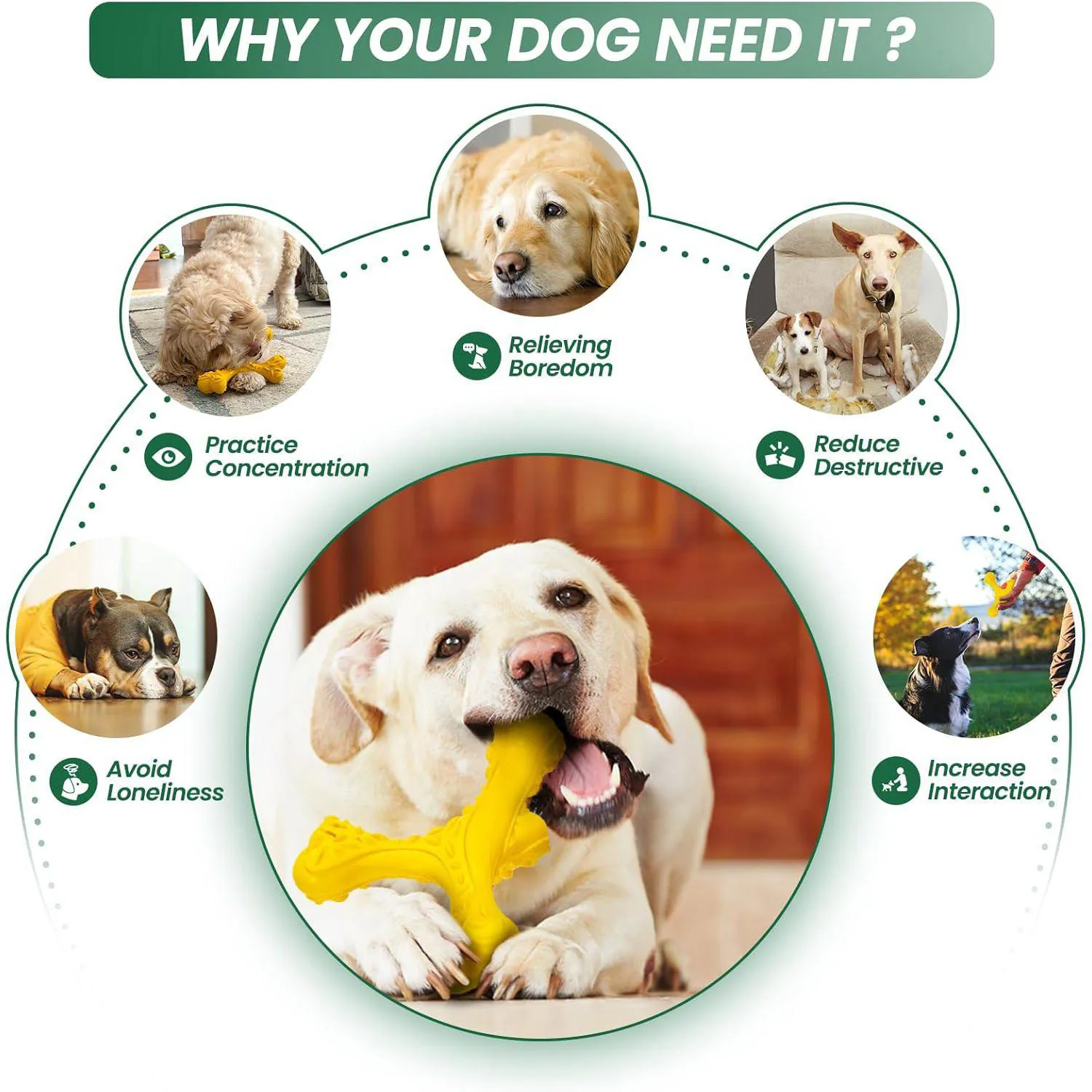 Juguete De Hueso De Goma Natural Para Perros Con Limpieza Dental Y Sabor Carnoso 4