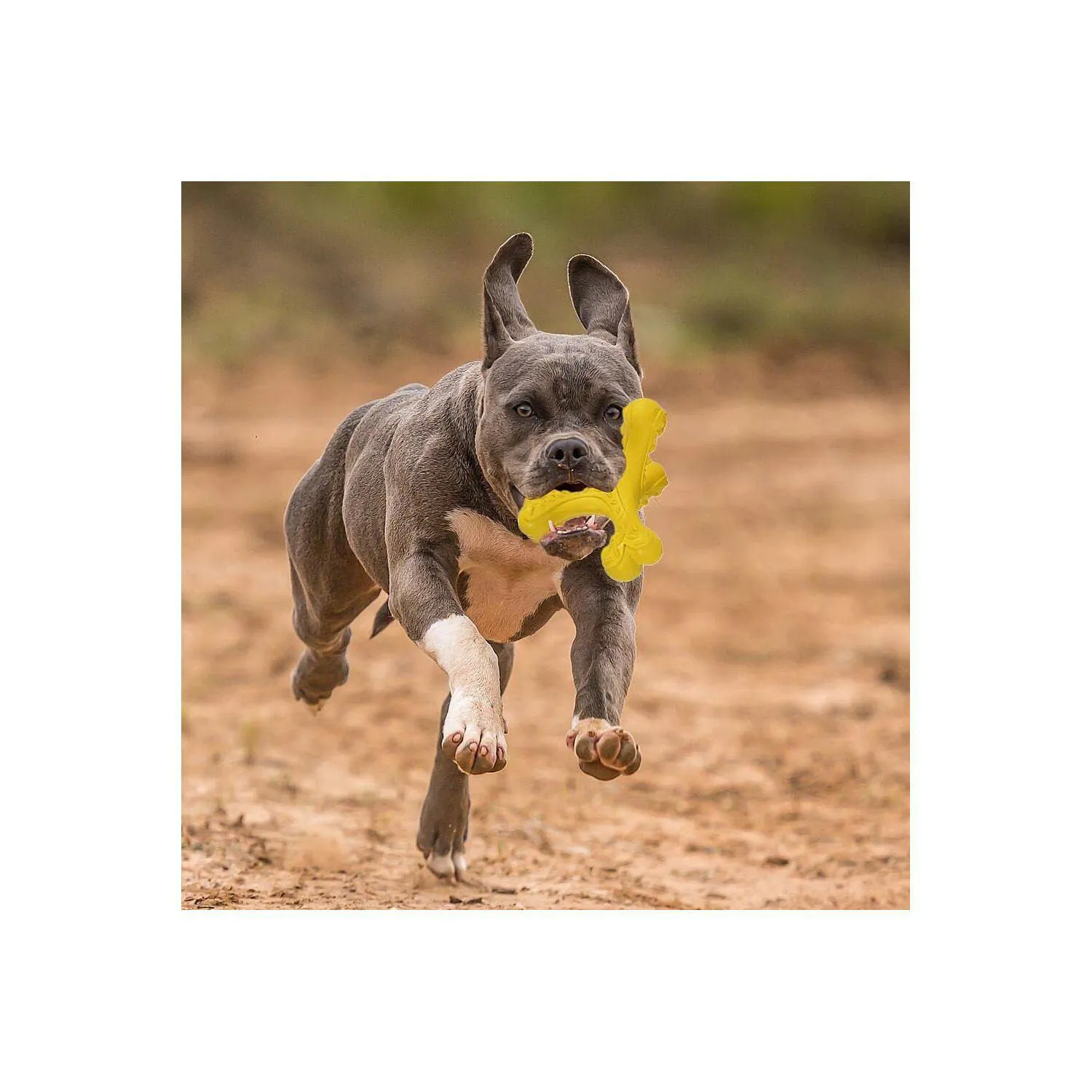 Juguete De Hueso De Goma Natural Para Perros Con Limpieza Dental Y Sabor Carnoso 7