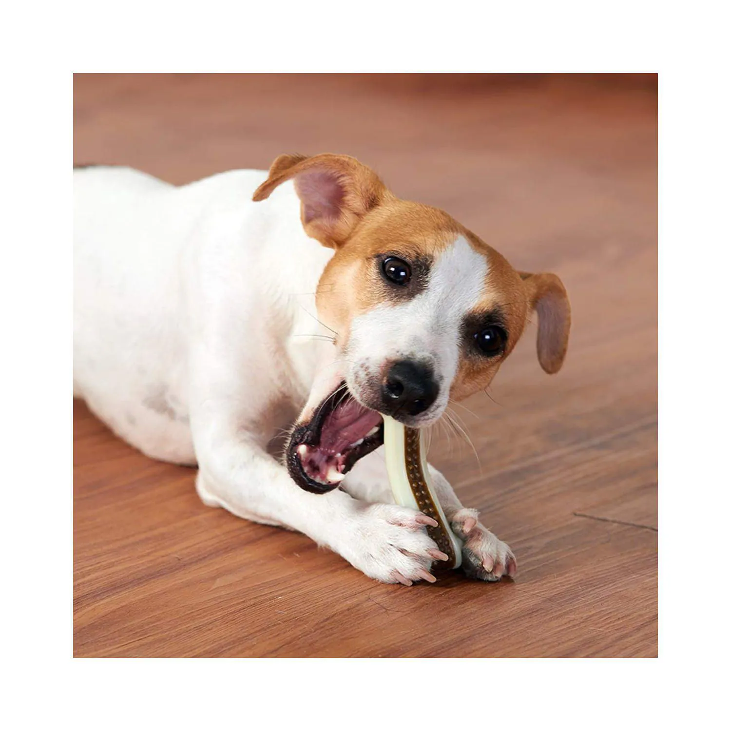 Paquete De Dos Juguetes Resistente Con Sabor A Carne Para Perros Masticadores 5