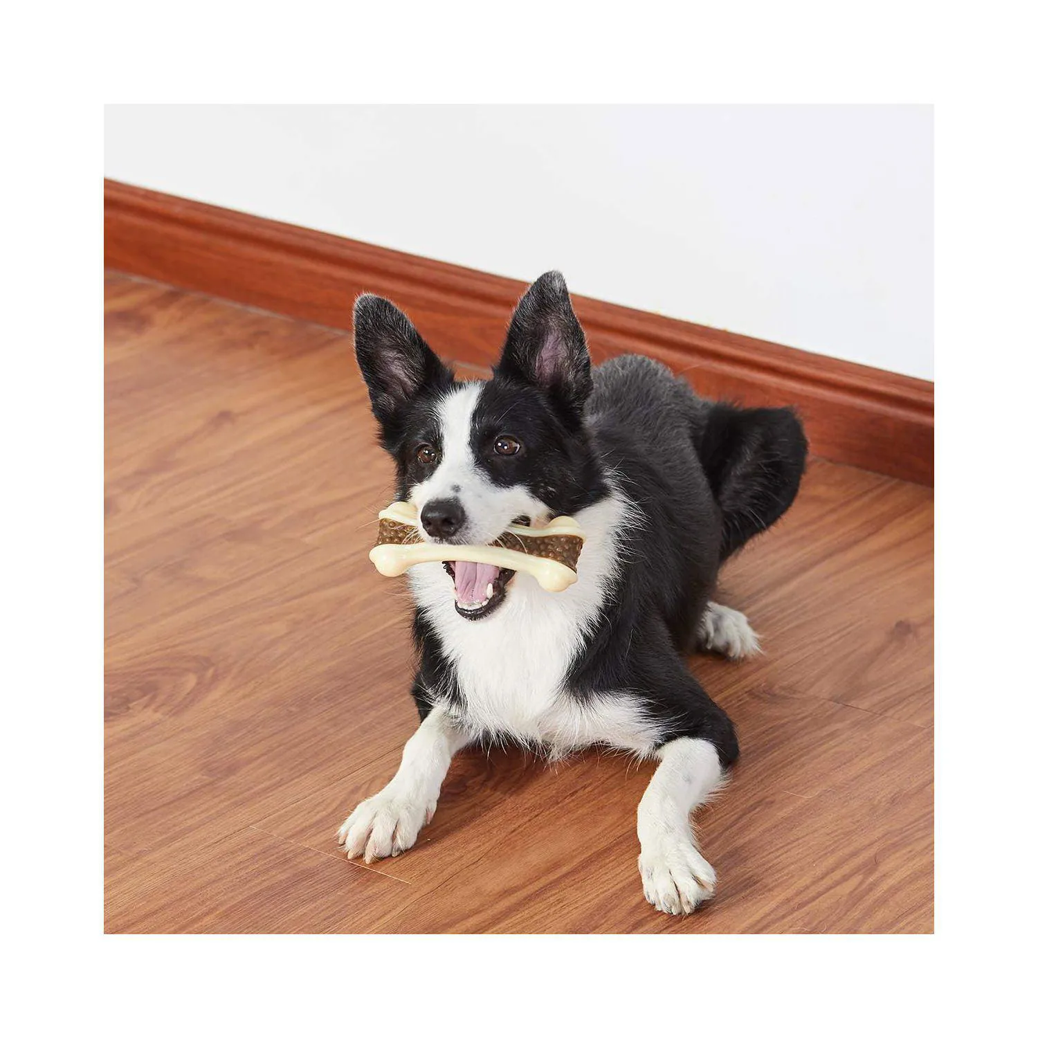 Paquete De Dos Juguetes Resistente Con Sabor A Carne Para Perros Masticadores 7