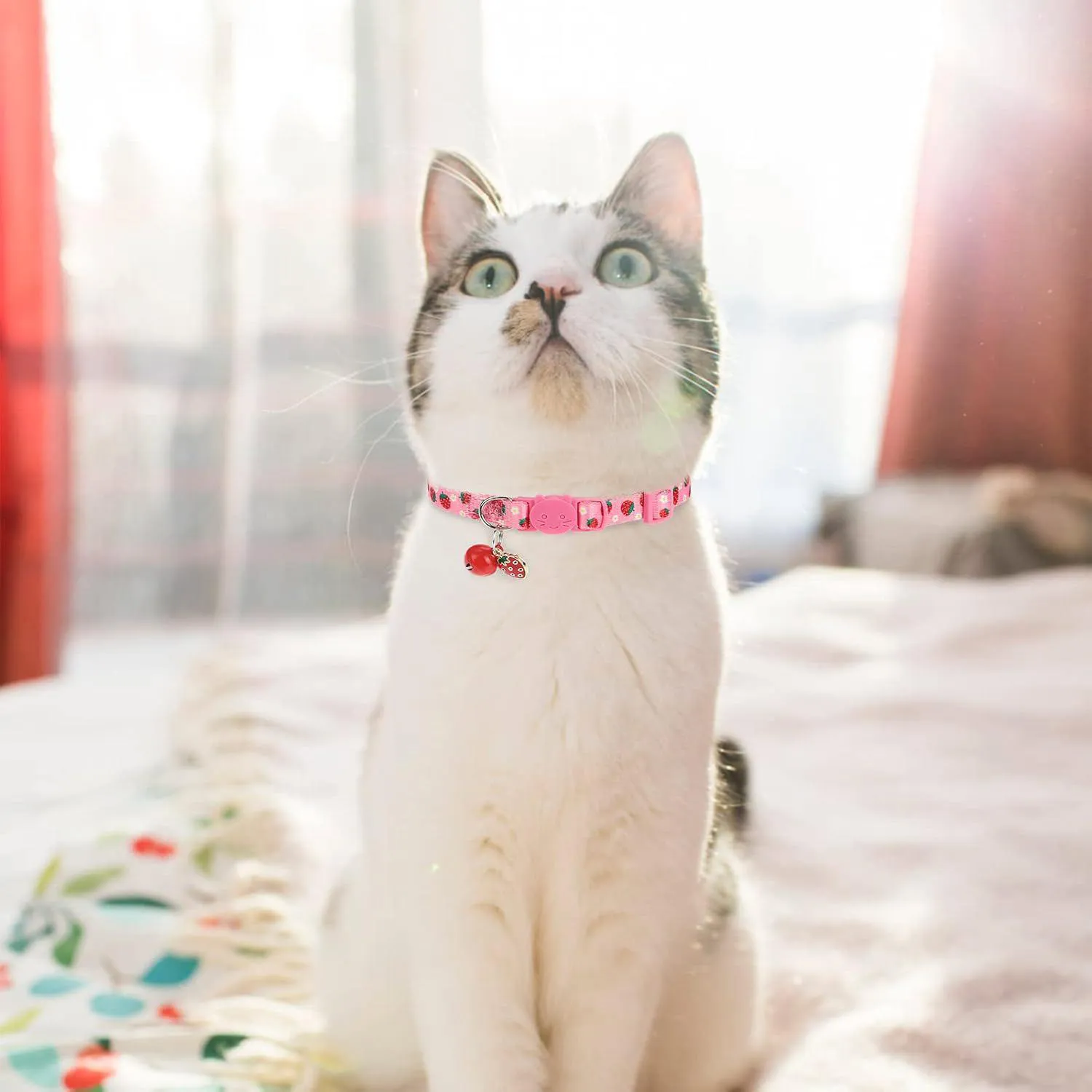 Collares VKPETFR Para Gato Frutales x3 Ajustables Con Campana y Hebilla Segura 7