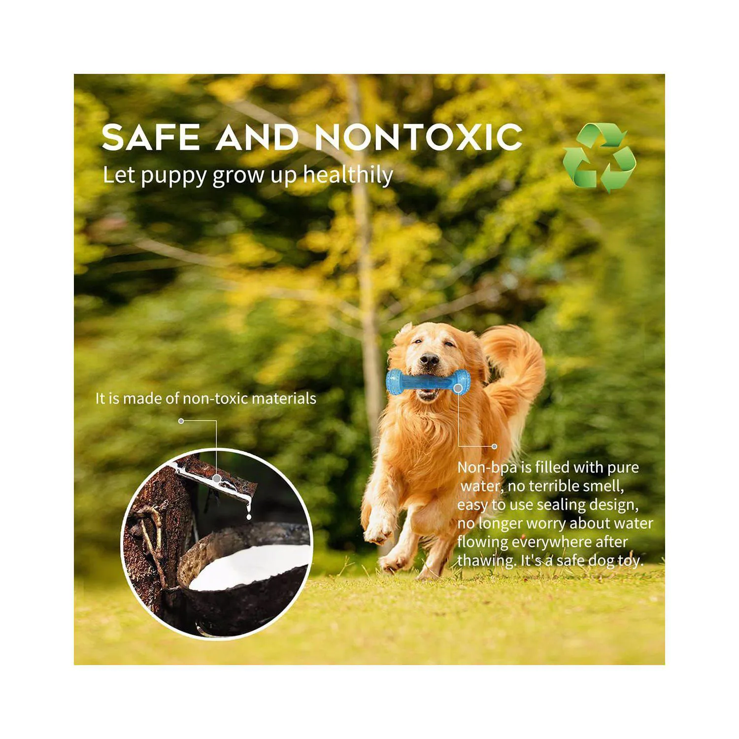 Juguetes De Dentición Congelables Para Cachorros Con Diseño Seguro Y Resistente 3