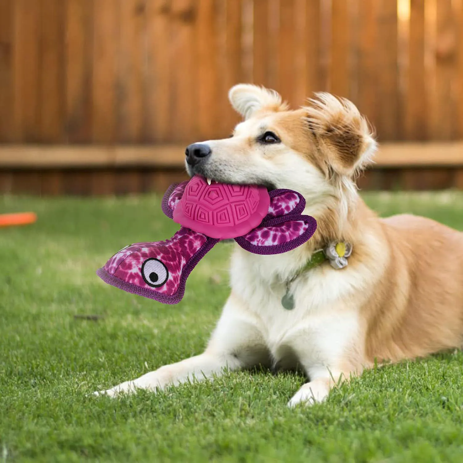 Juguete De Goma Con Forma De Tortuga Para Perros Con Dos Pelotas De Tenis 6