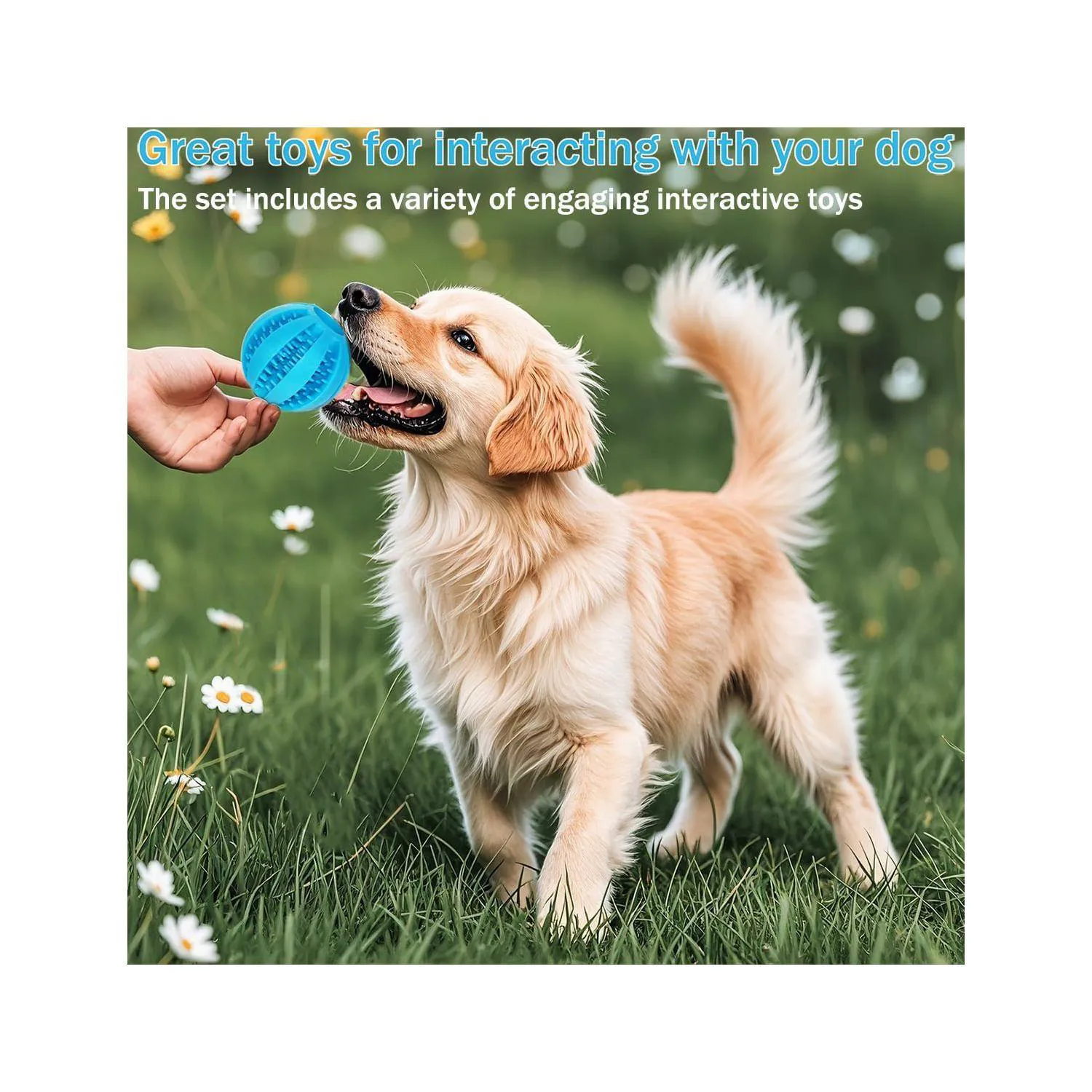 Set De Juguetes Para Cachorros Con 20 Piezas Para Dentición Y Juego Interactivo 4