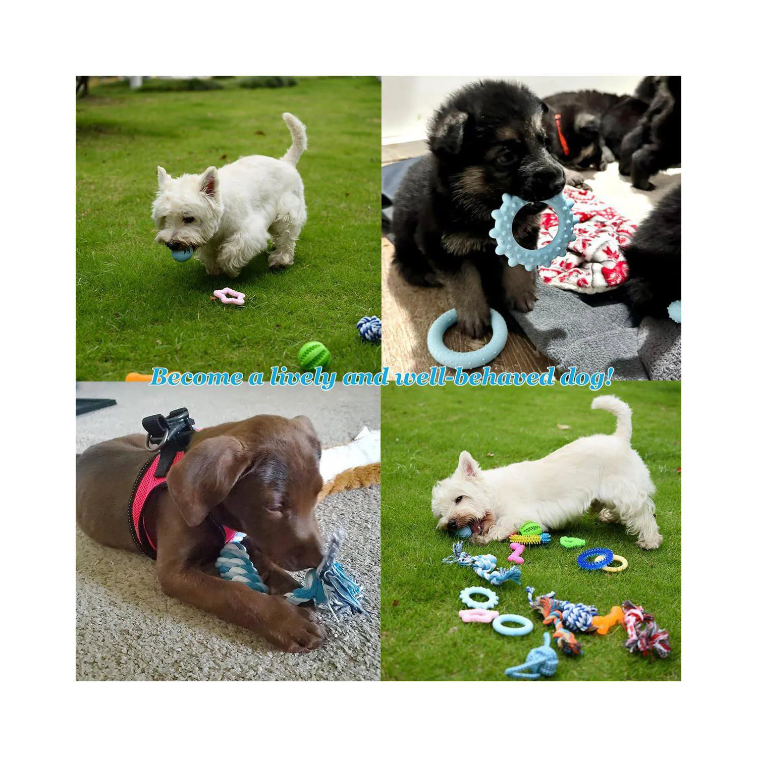 Set De Juguetes Para Cachorros Con 20 Piezas Para Dentición Y Juego Interactivo 6