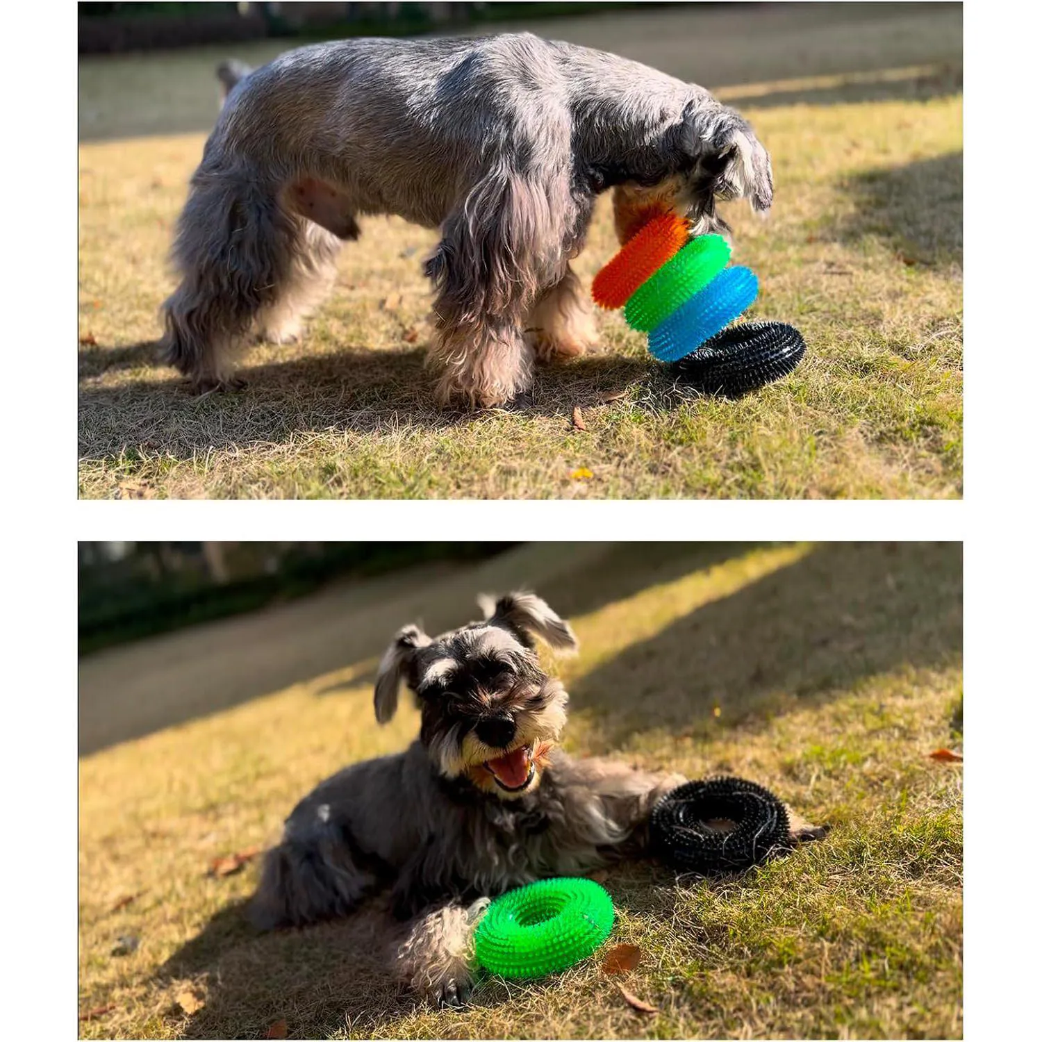 Juguete para Perros con Diseño de Donut Flotante y Sonido Interactivo Color Verde 5