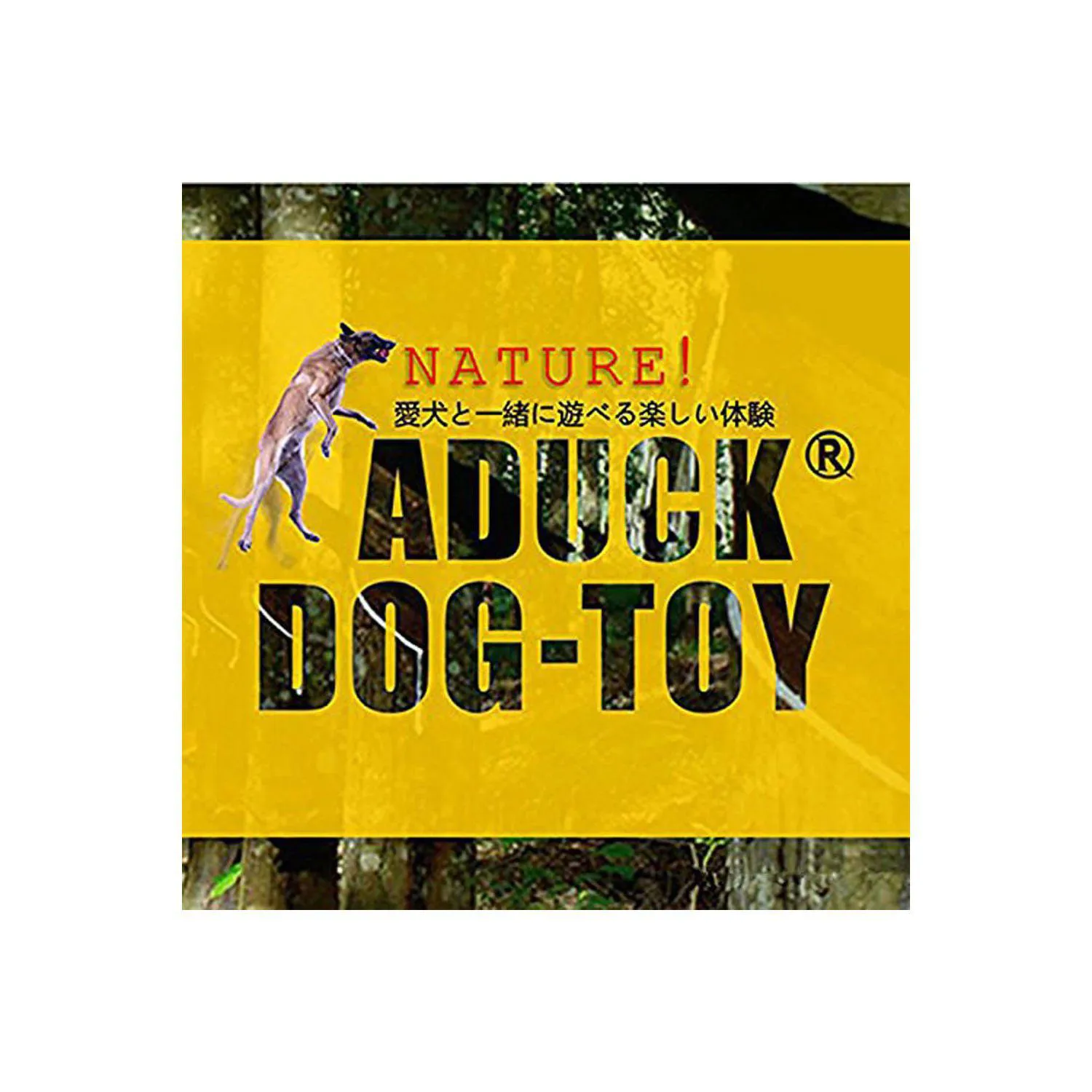 Juguete para Perros con Diseño de Donut Flotante y Sonido Interactivo Color Verde 8
