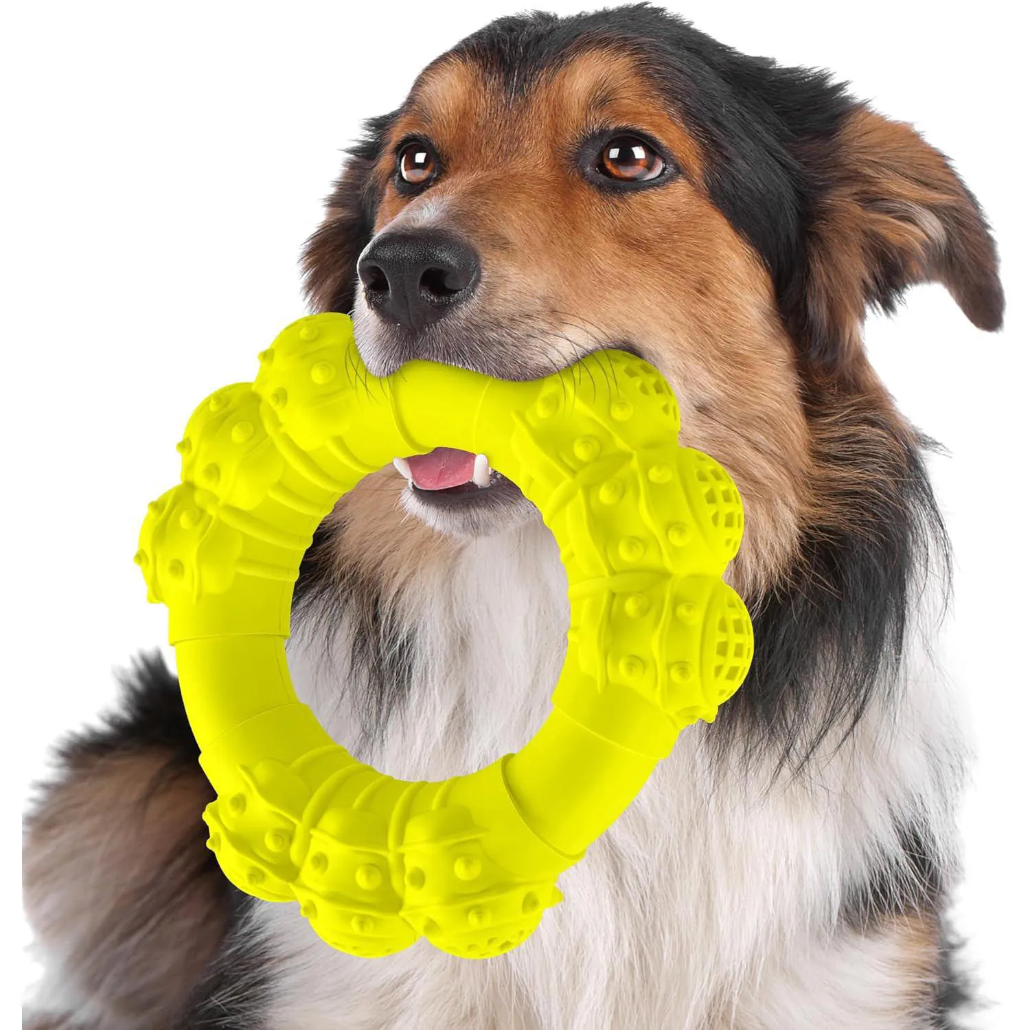 Juguete Resistente Para Perros Masticadores Agresivos Con Sabor A Carne