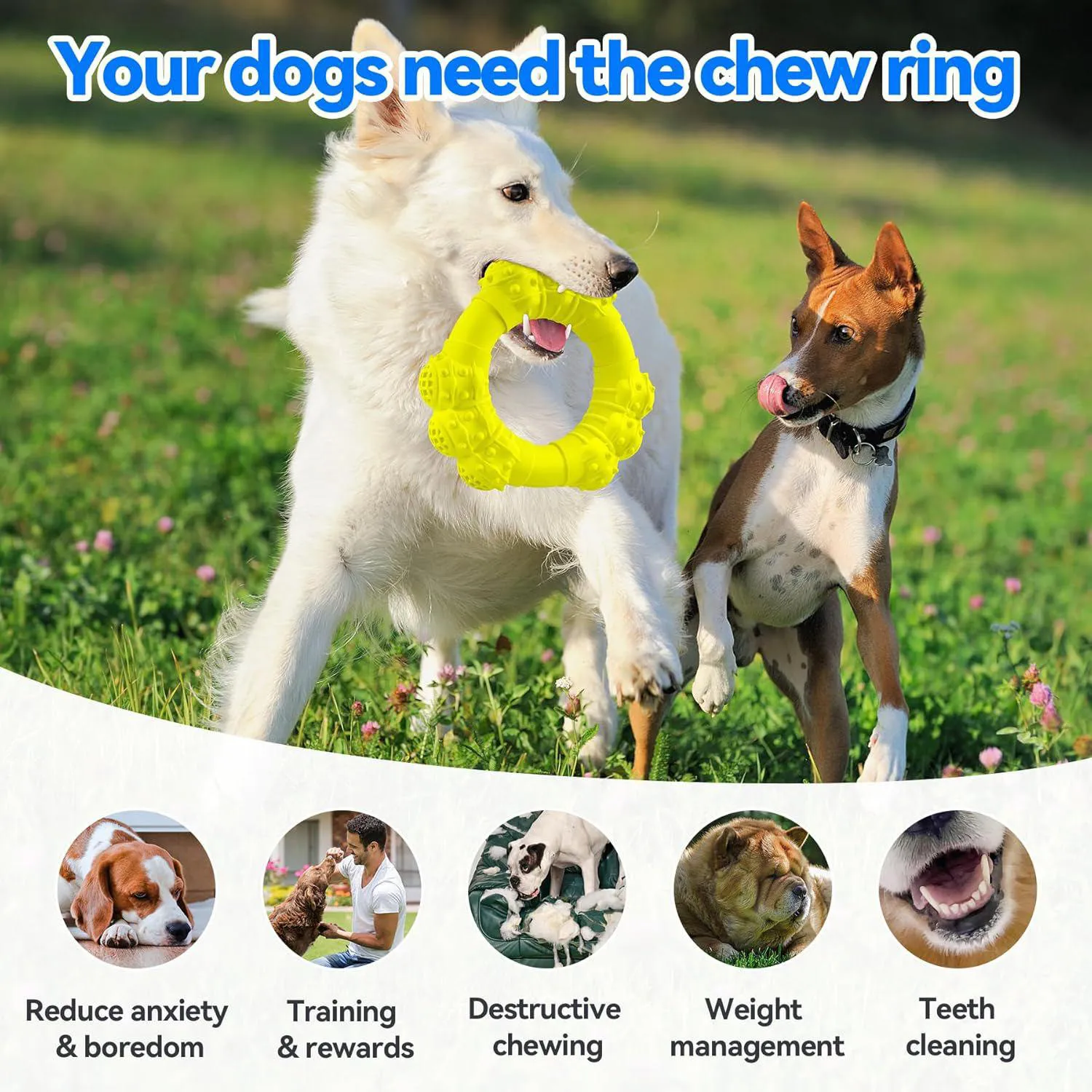 Juguete Resistente Para Perros Masticadores Agresivos Con Sabor A Carne 5