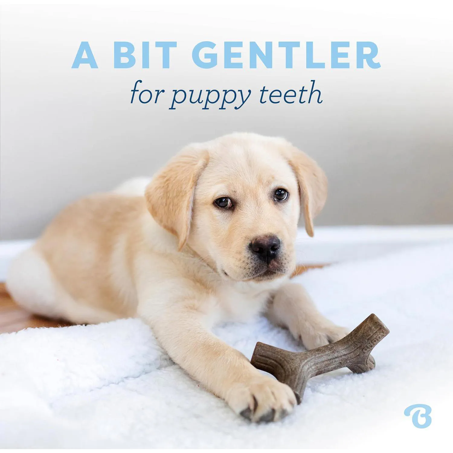 Juguetes Para Cachorros Benebone Con Sabor Real Que Calman La Dentición