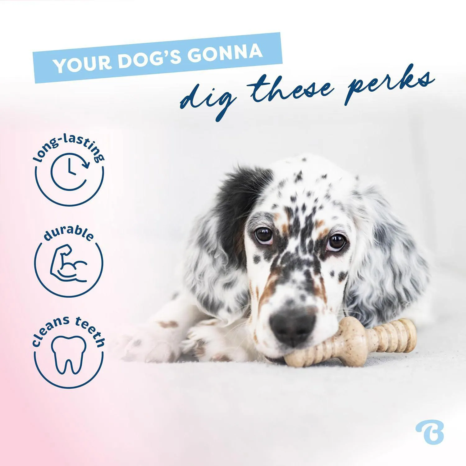 Juguetes Para Cachorros Benebone Con Sabor Real Que Calman La Dentición 3