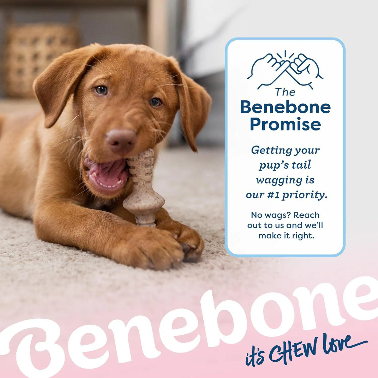 Juguetes Para Cachorros Benebone Con Sabor Real Que Calman La Dentición 6