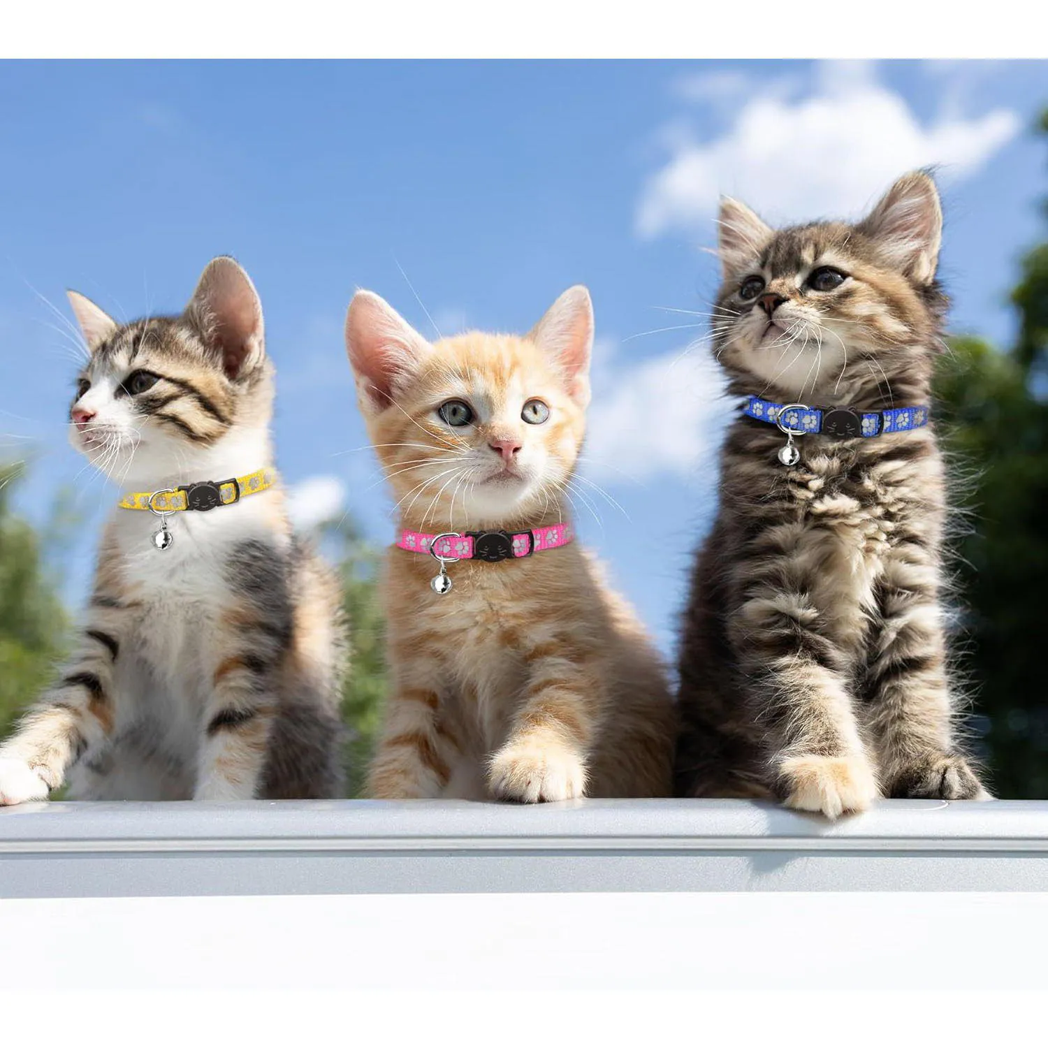 Collares QDYU Para Gatitos Pack x16 Reflectantes con Campana Seguros