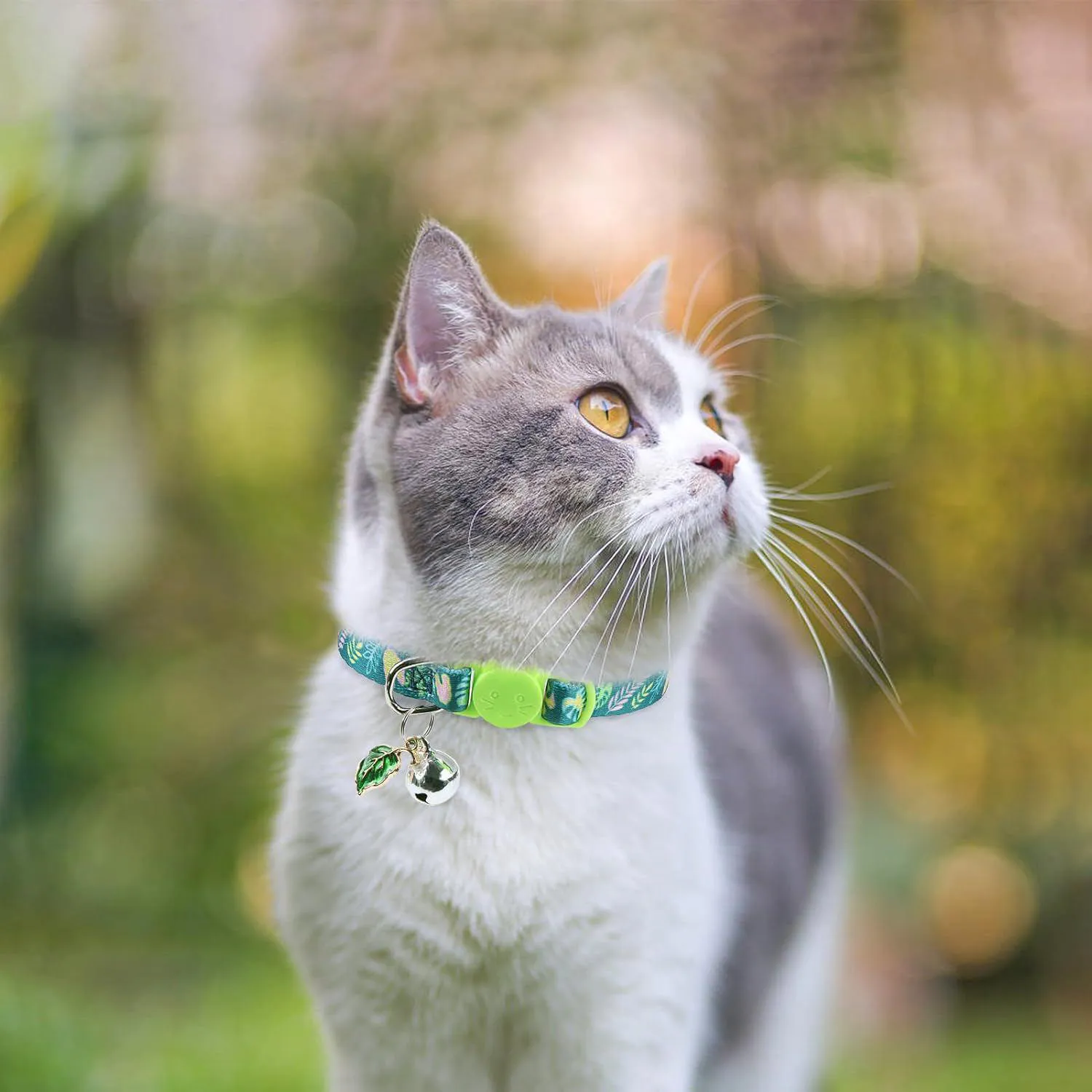 Collares SCENEREAL Pack x3 Para Gato con Campana y Hebilla de Seguridad 6