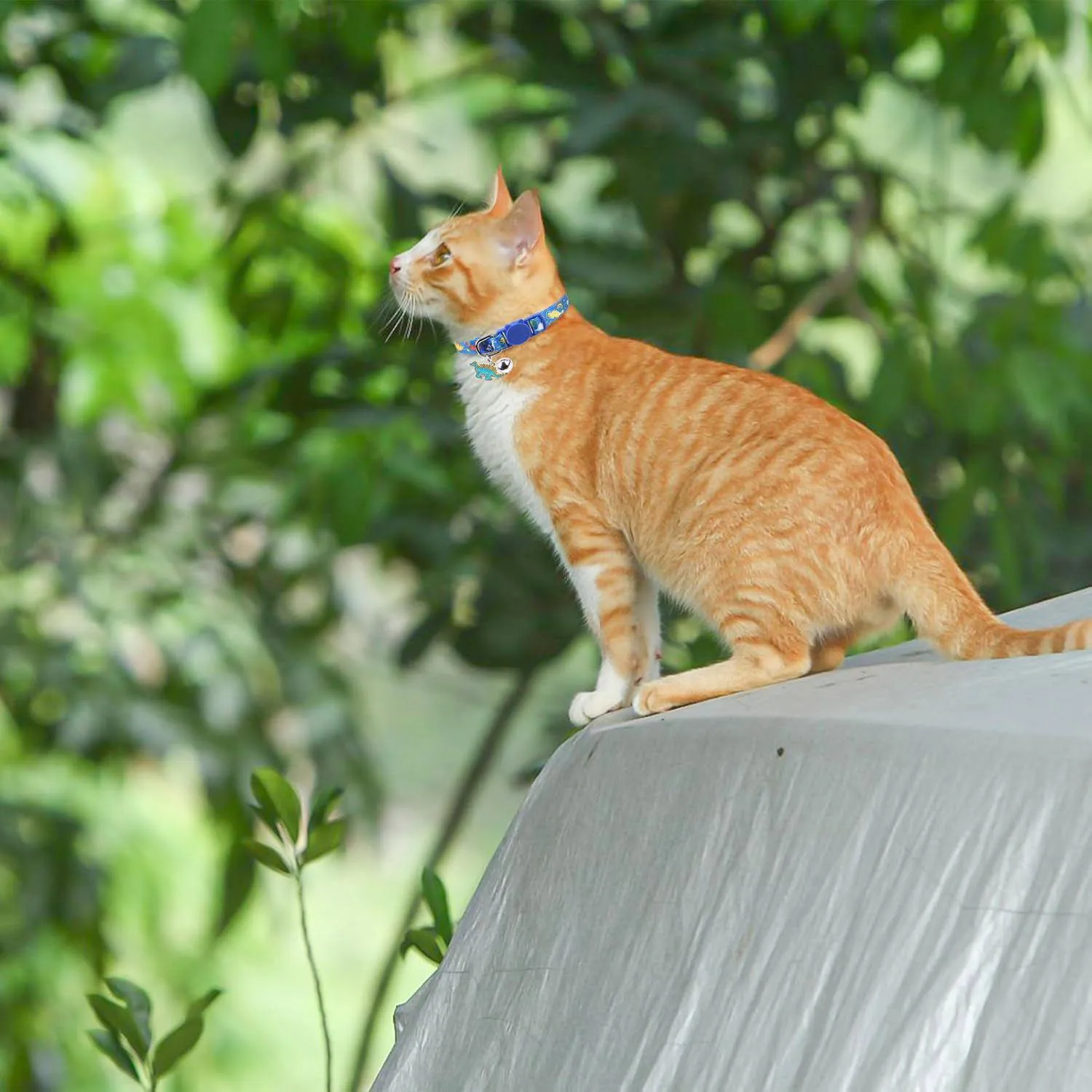 Collares SCENEREAL Pack x3 Para Gato con Campana y Hebilla de Seguridad 7