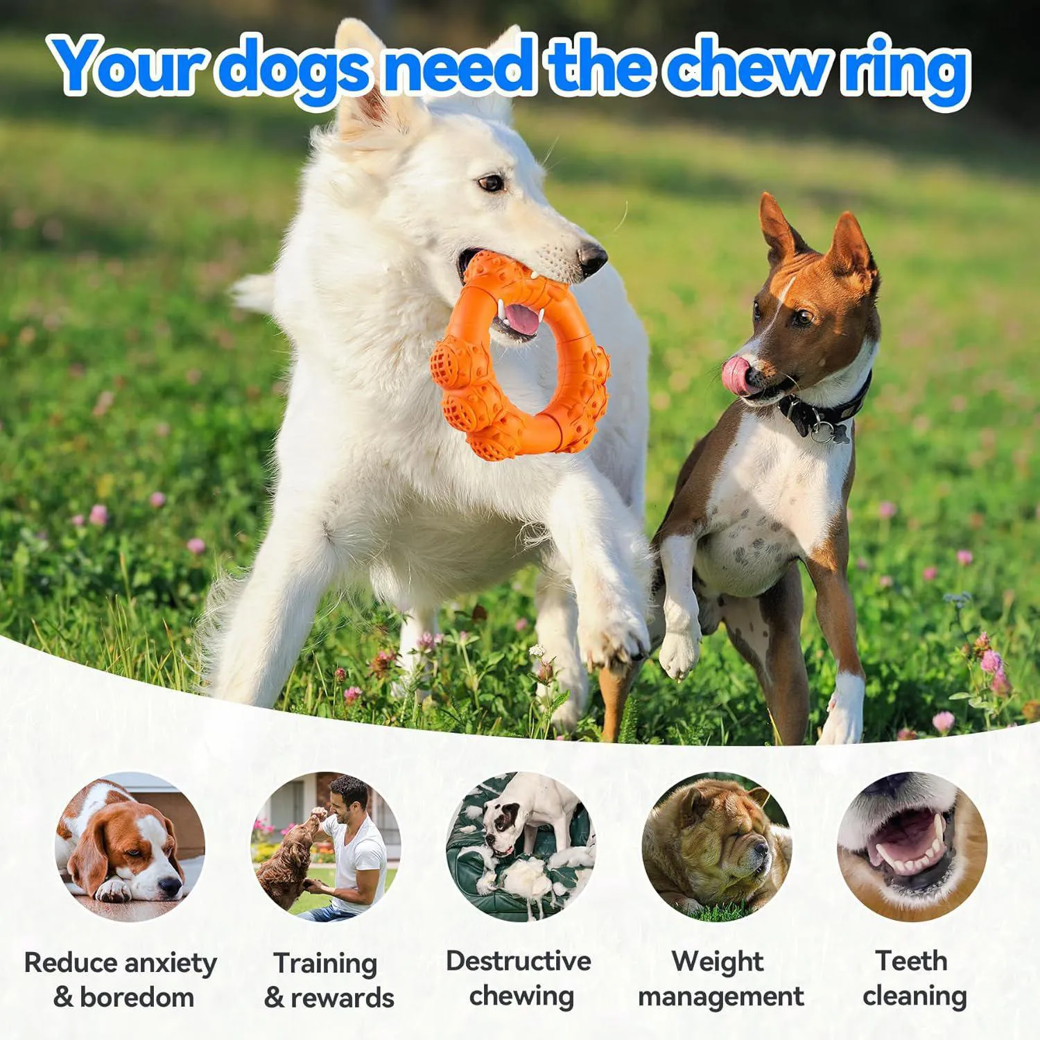 Anillo Masticable Indestructible Para Perros Agresivos Con Sabor A Carne 5