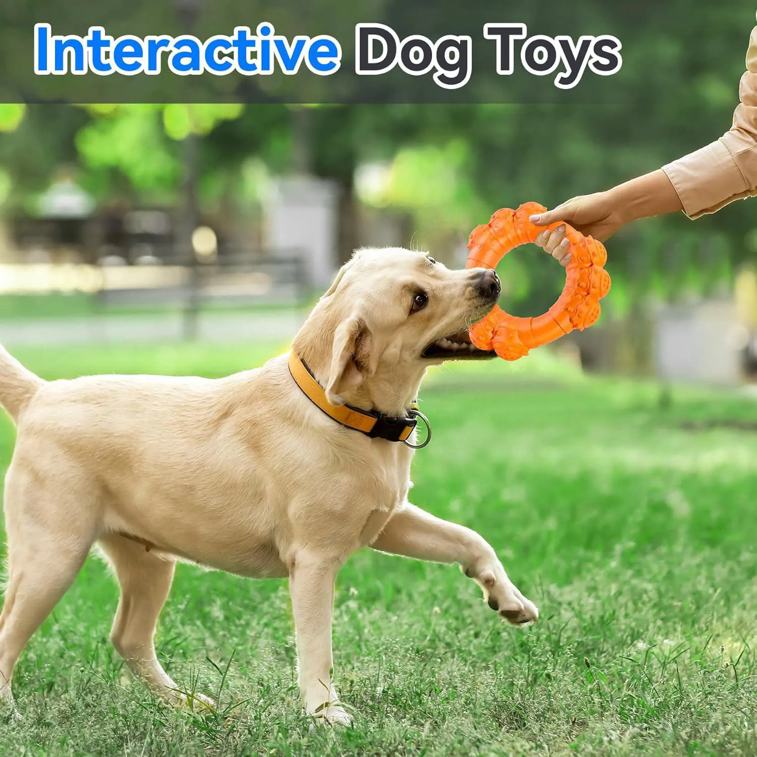 Anillo Masticable Indestructible Para Perros Agresivos Con Sabor A Carne 7