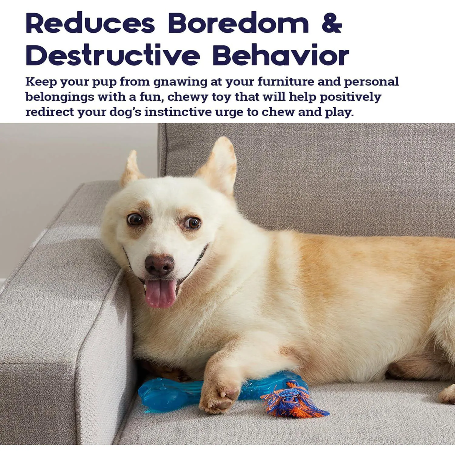 Hueso Petstages Para Perros Con Dispensador De Premios Y Textura Resistente 3