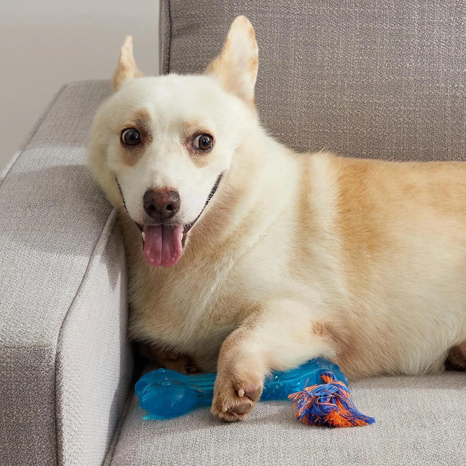Hueso Petstages Para Perros Con Dispensador De Premios Y Textura Resistente 7