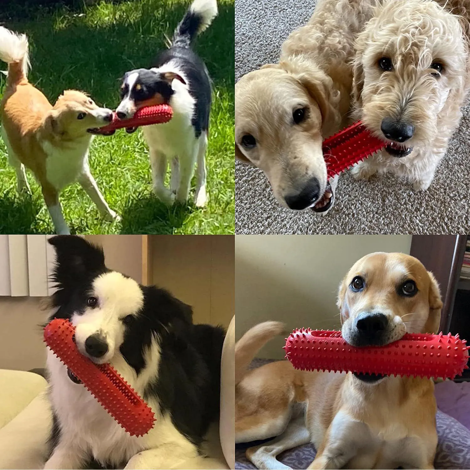 Juguete Chirriante Para Perros Con Limpieza Dental Y Alta Resistencia