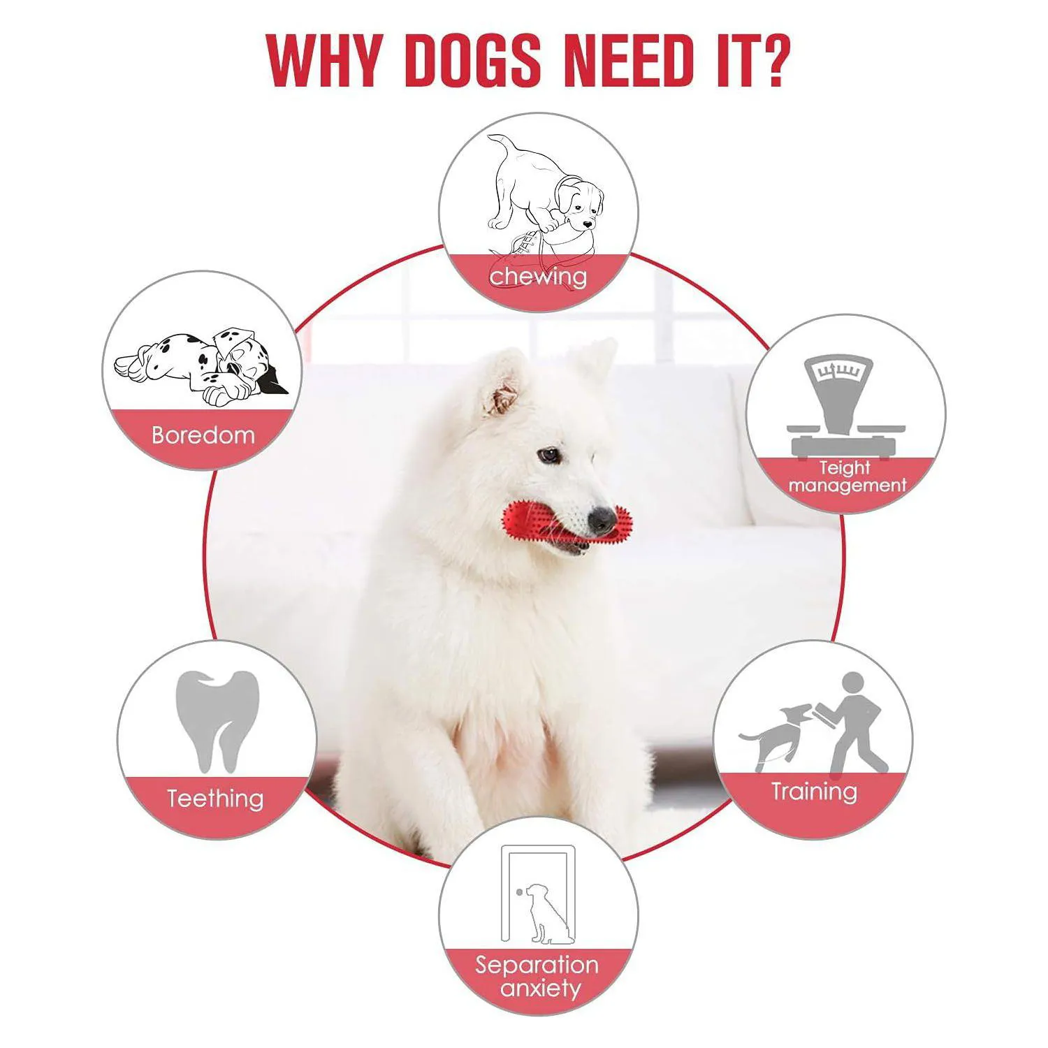 Juguete Chirriante Para Perros Con Limpieza Dental Y Alta Resistencia 5