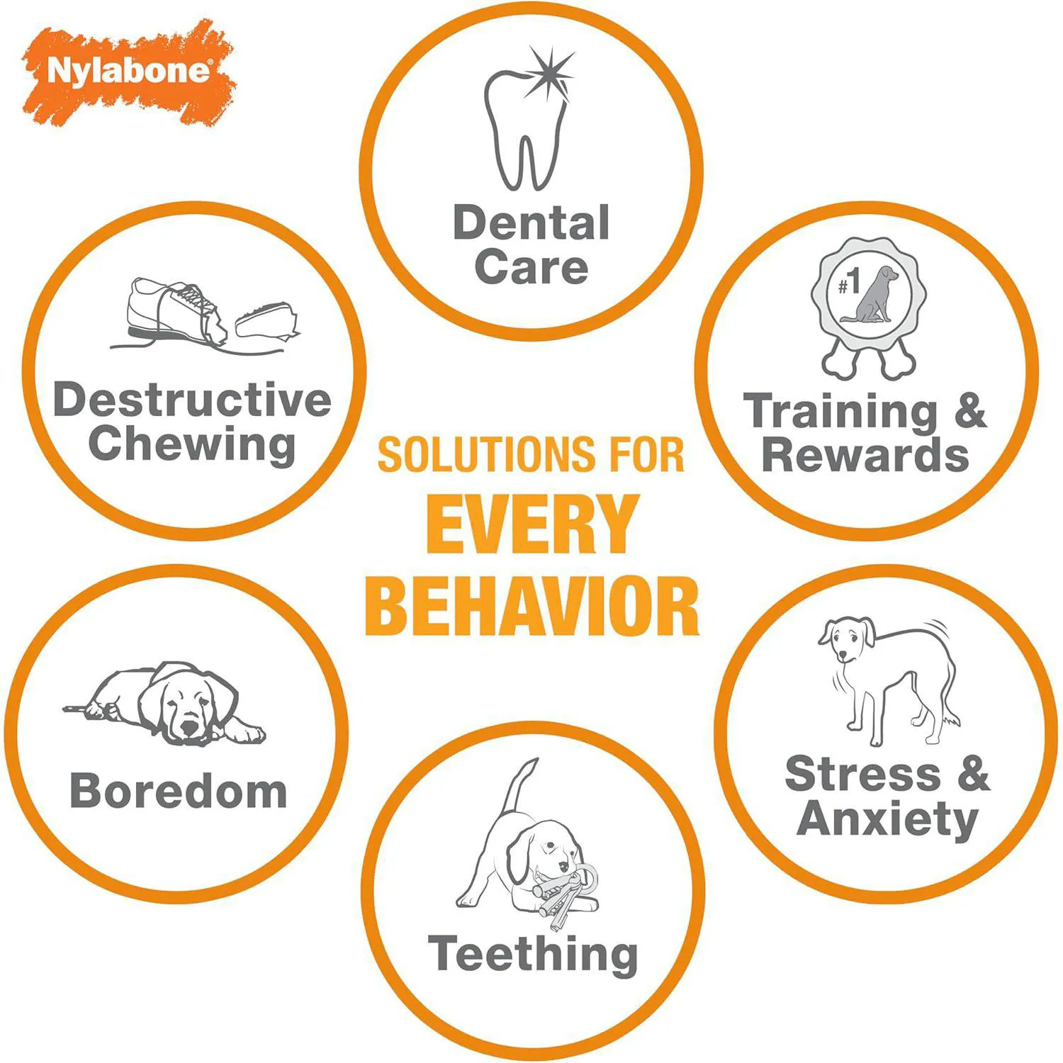 Hueso Nylabone Para Perros Con Mordida Fuerte Y Sabor Duradero 4