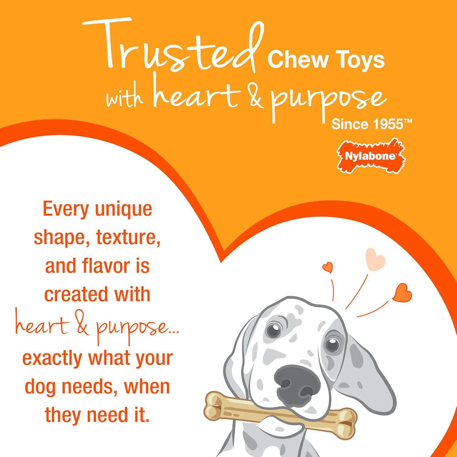 Hueso Nylabone Para Perros Pequeños Con Textura Dental Y Sabor A Pollo 8