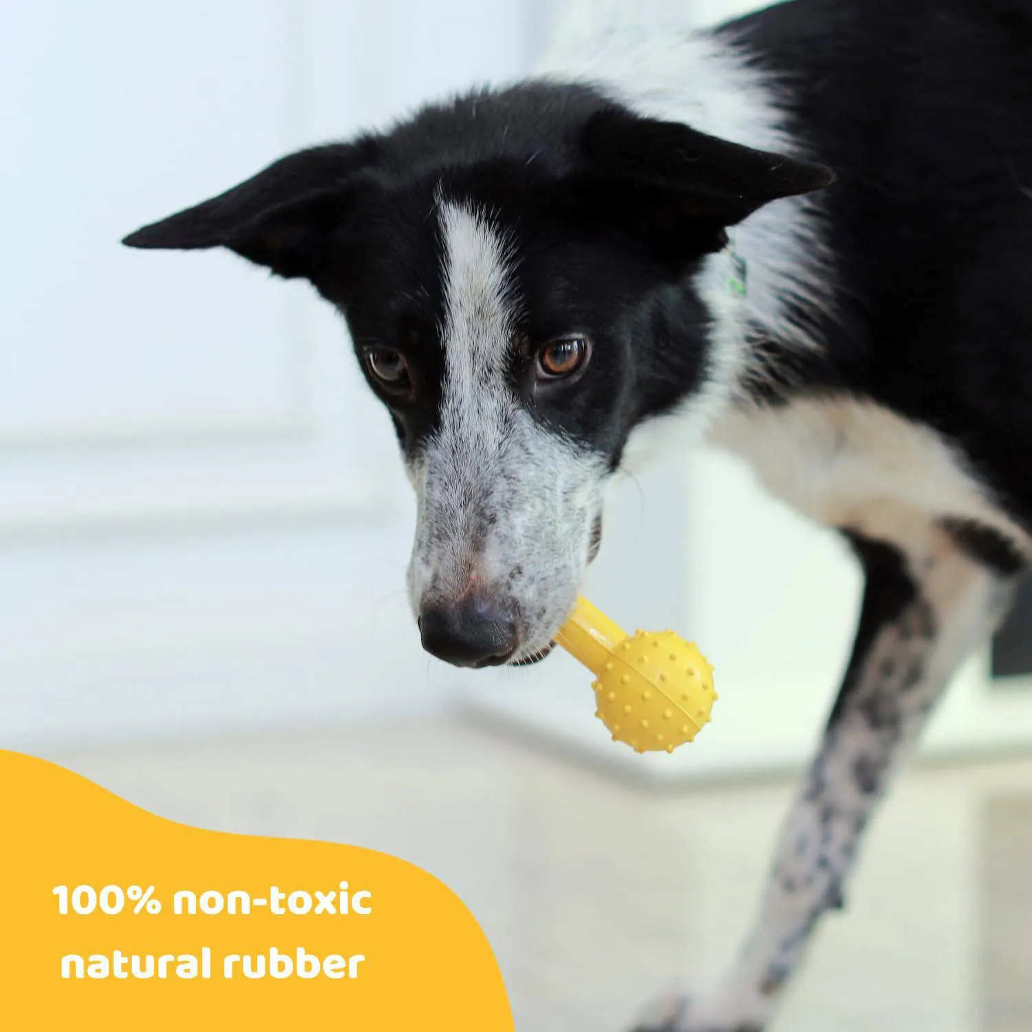 Juguete Para Perros Con Campana De Goma Natural Resistente E Interactivo 5