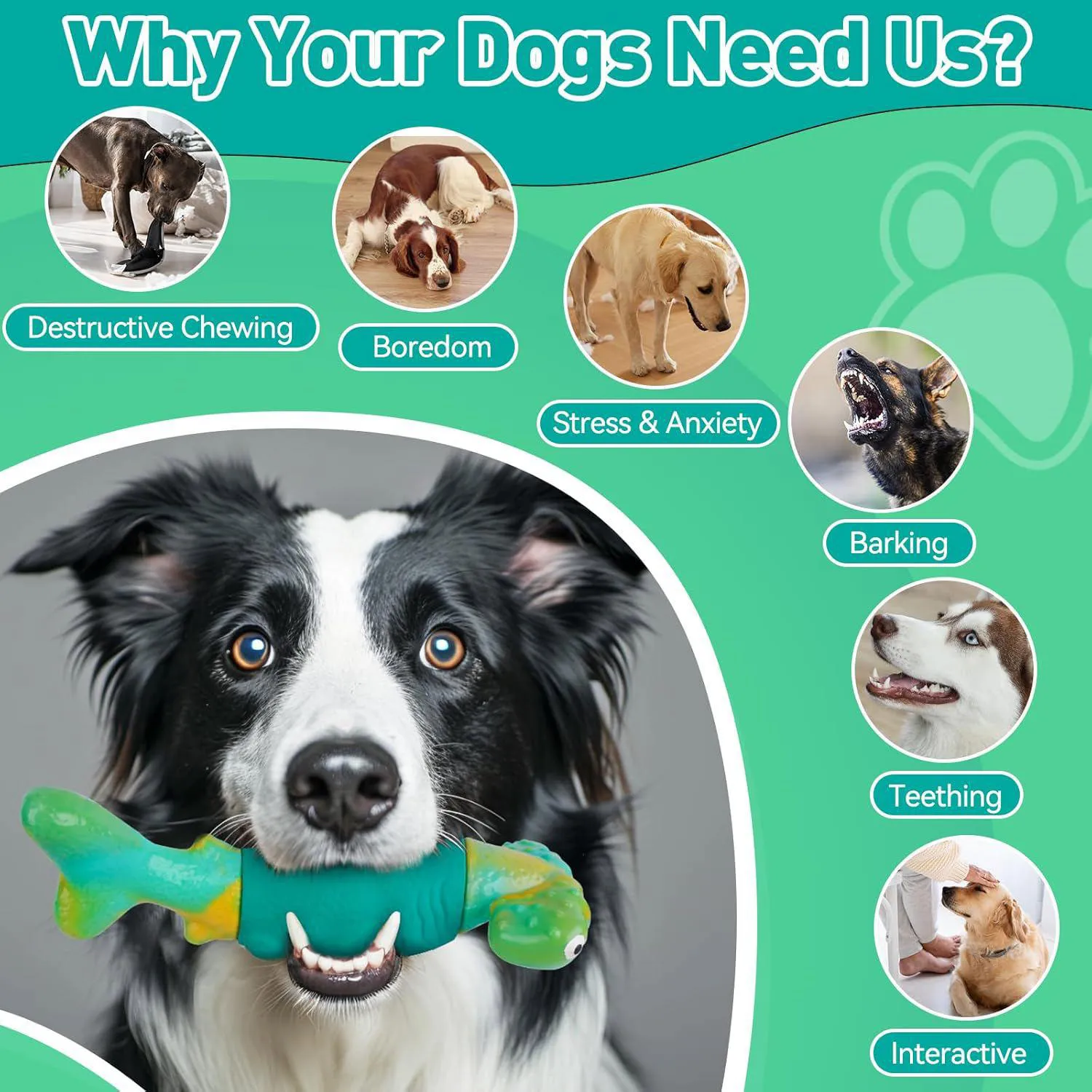 Juguete Resistente Para Perros Con Diseño De Tiburón Y Aroma A Tocino 3